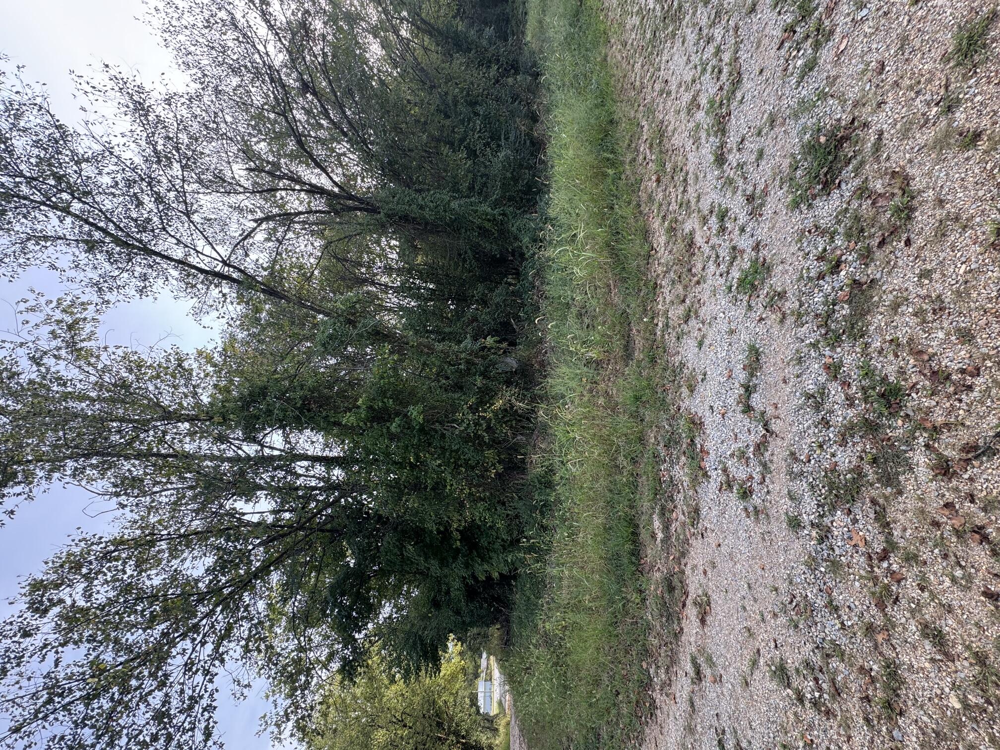 000 County Road 203 Property Photo 1