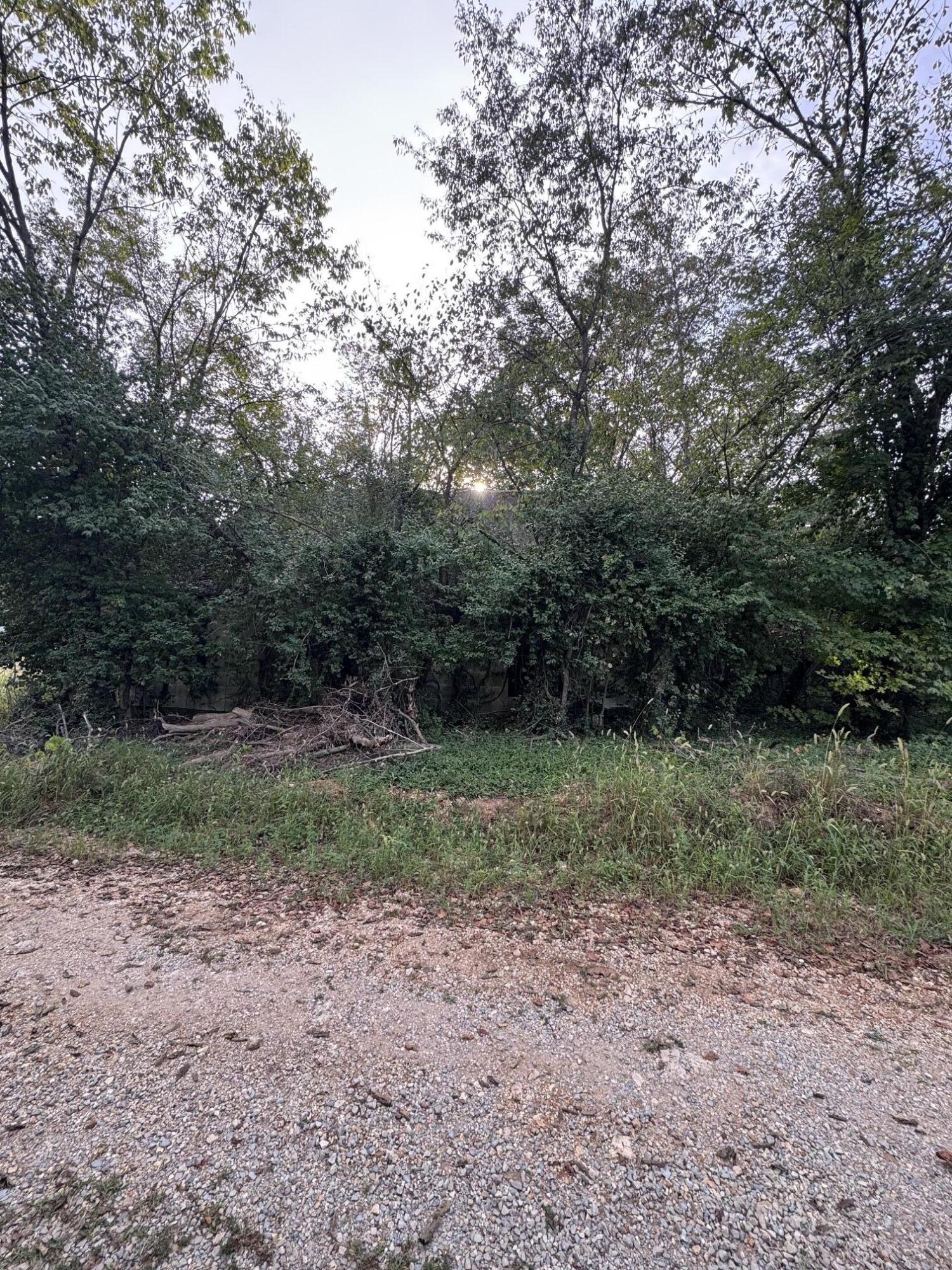 000 County Road 203 Property Photo 2