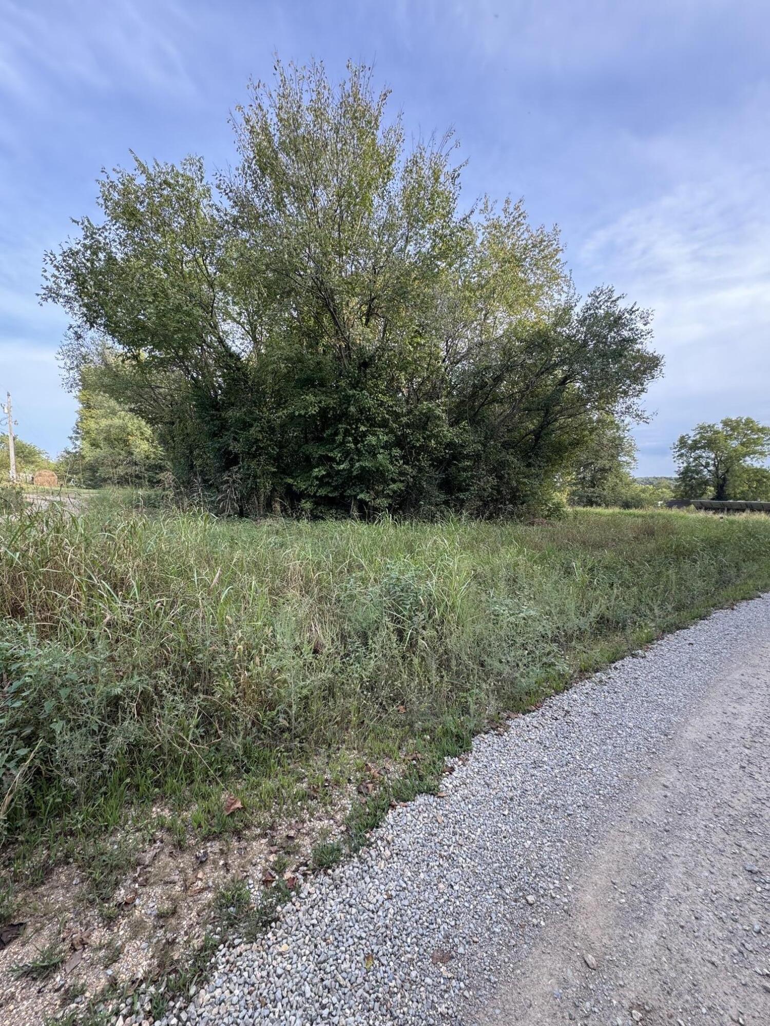 000 County Road 203 Property Photo 4