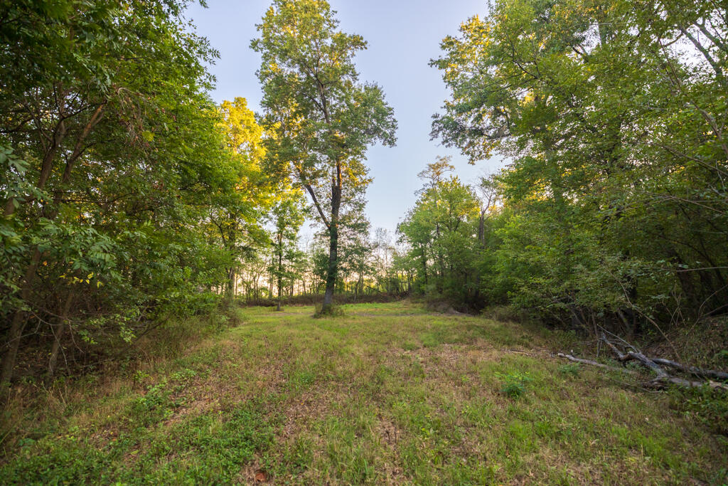 2395 Southwest County Road Property Photo 80