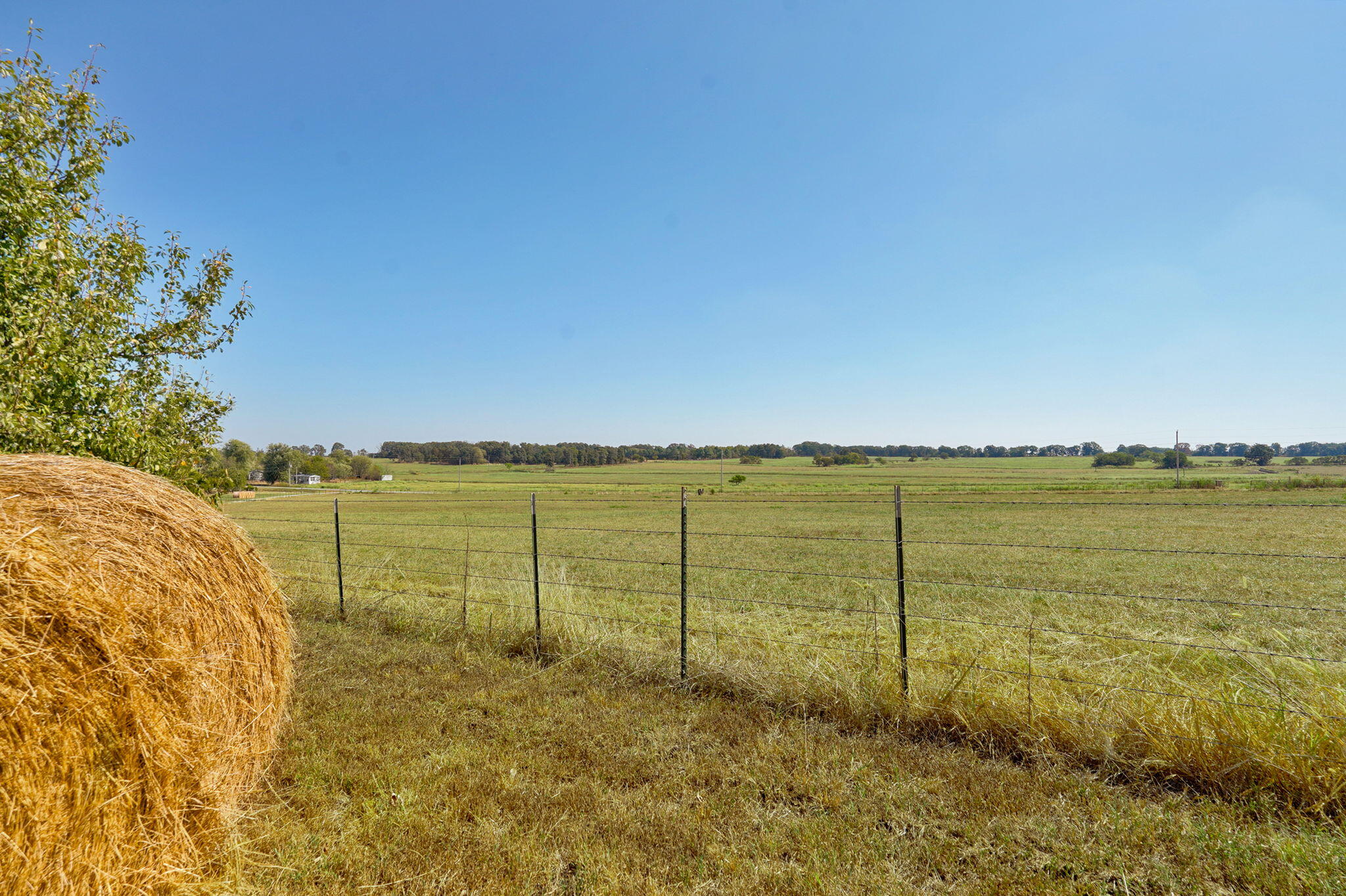 7797 State Highway Cc Property Photo 16