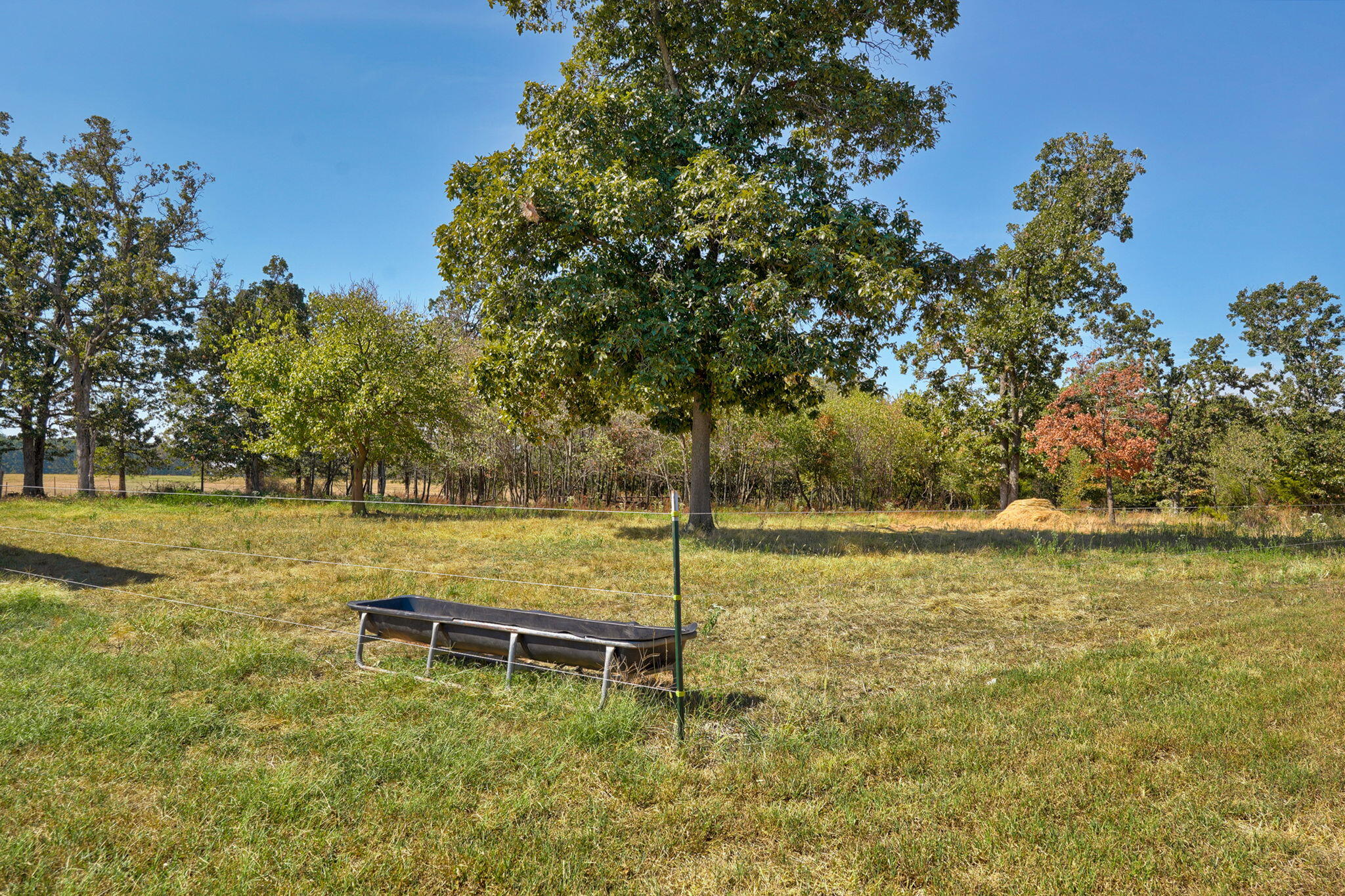7797 State Highway Cc Property Photo 49