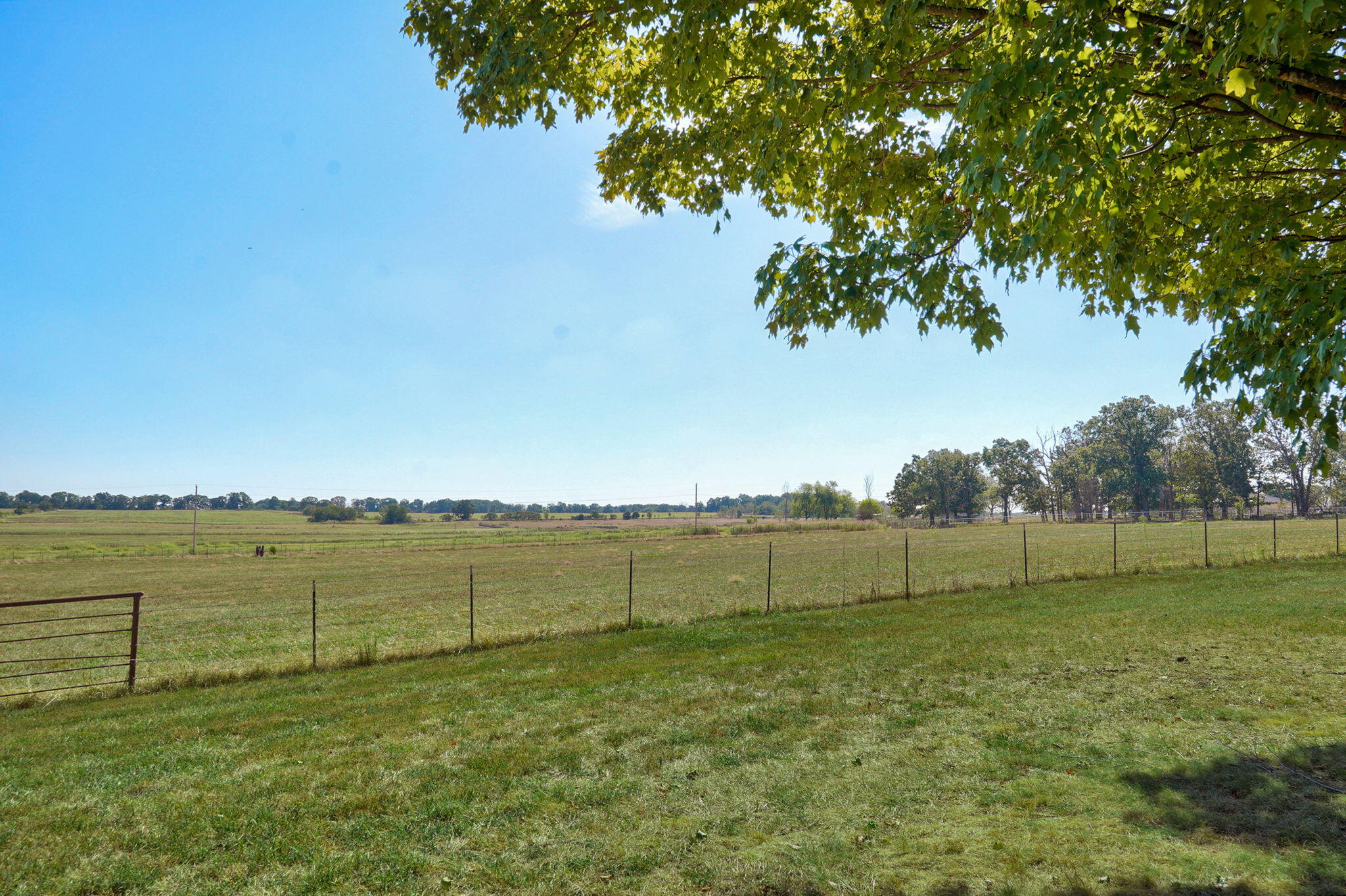 7797 State Highway Cc Property Photo 57
