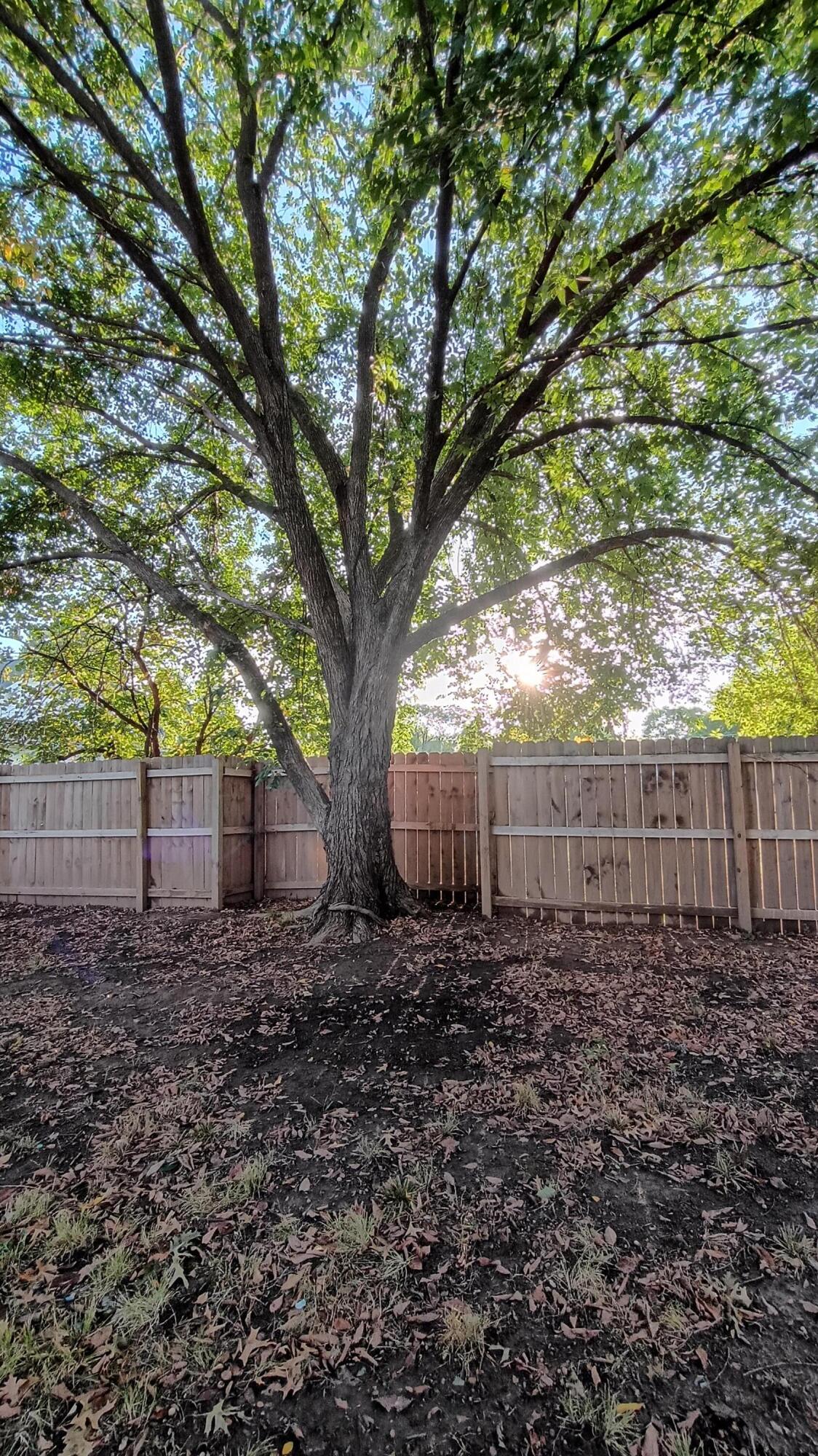 813 South Hickory Street Property Photo 7