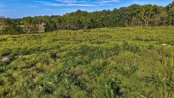 6409 East Us Highway 60 Tract 1 Property Photo 13
