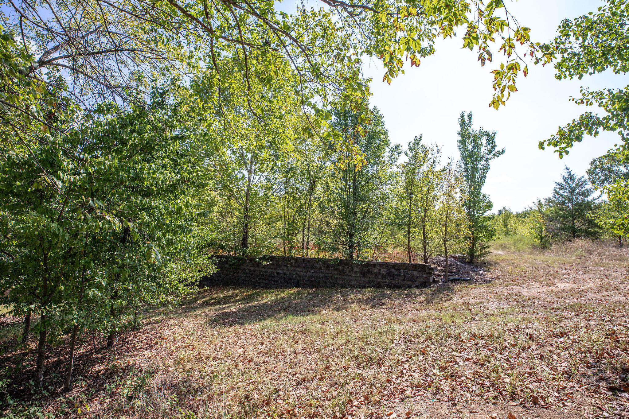 444 Monarch Drive Property Photo 19