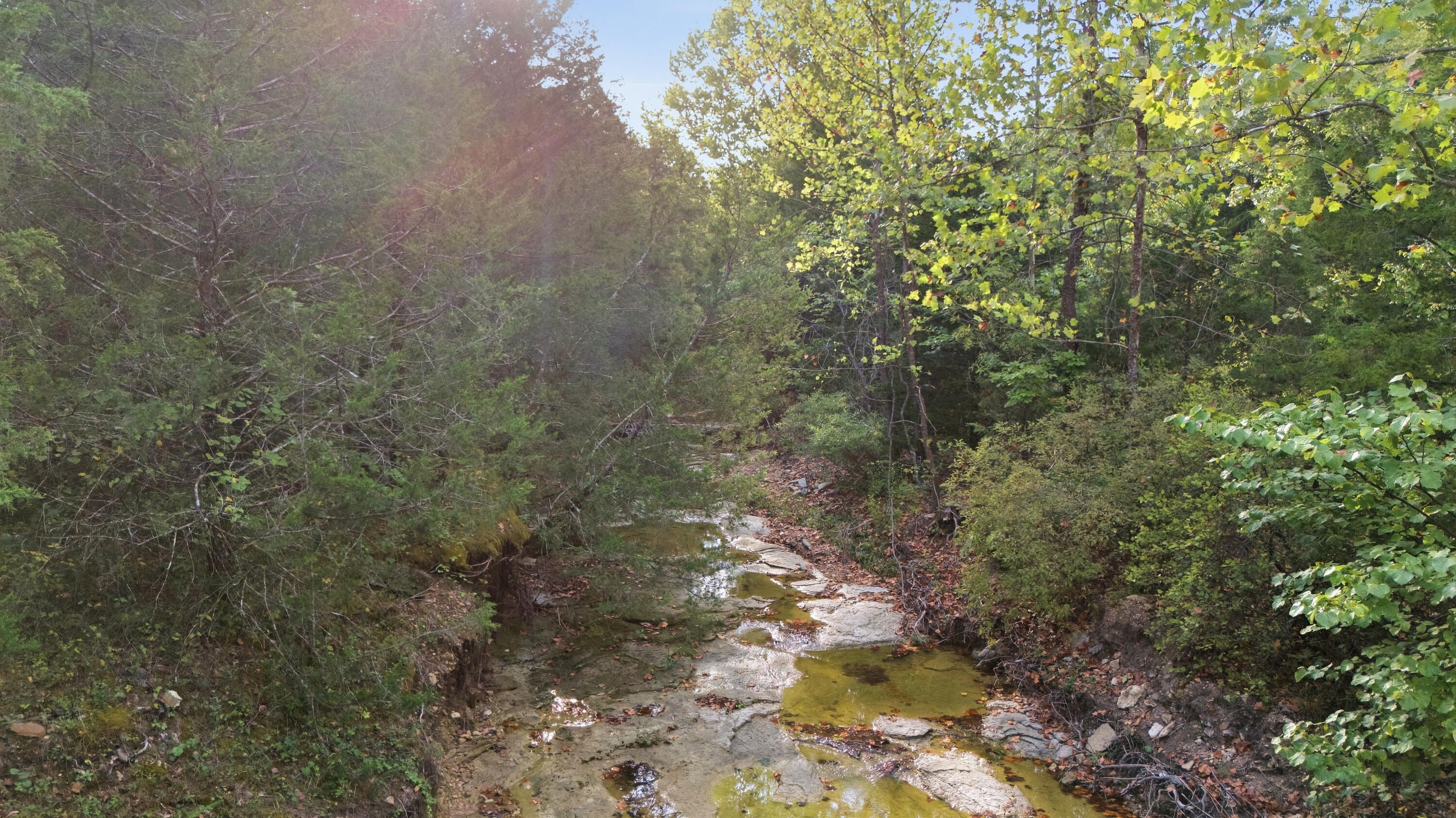 977 South Highway 137 Property Photo 10