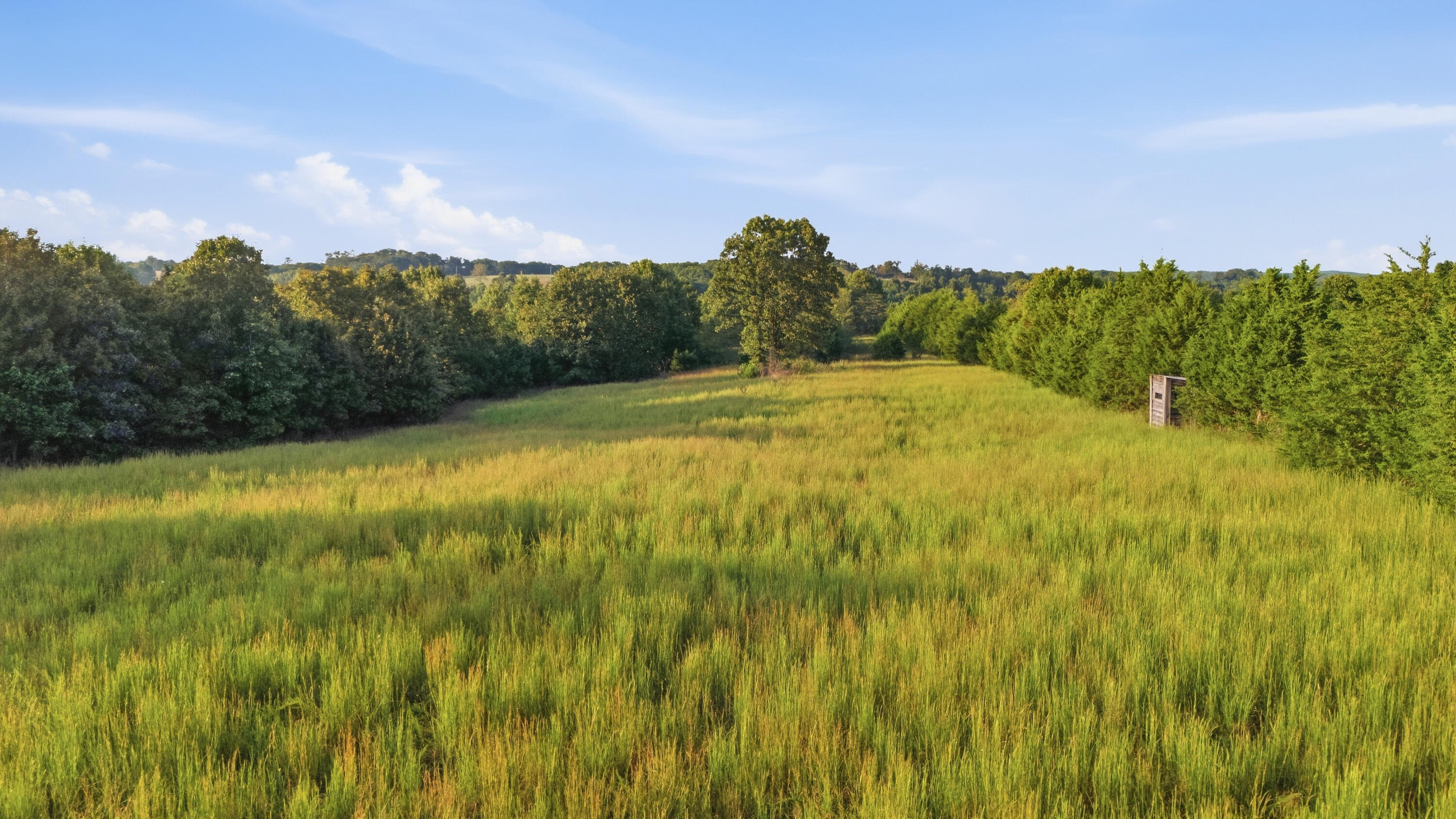 977 South Highway 137 Property Photo 64
