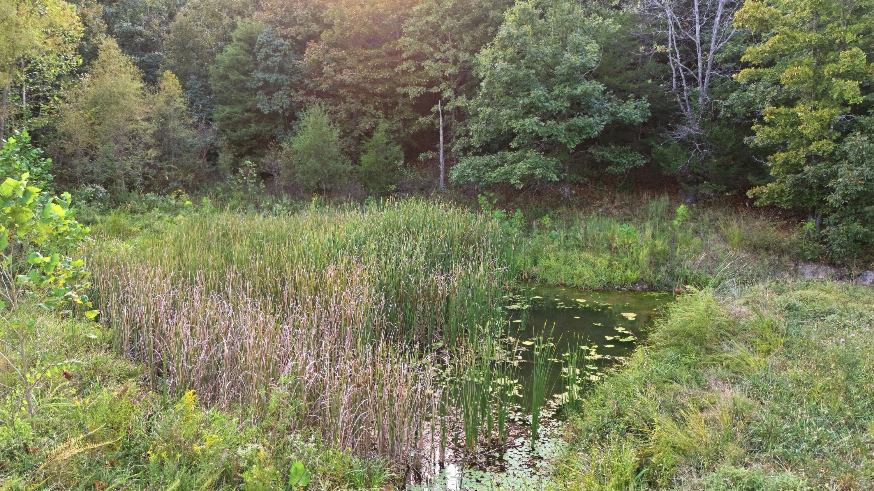 977 South Highway 137 Property Photo 67
