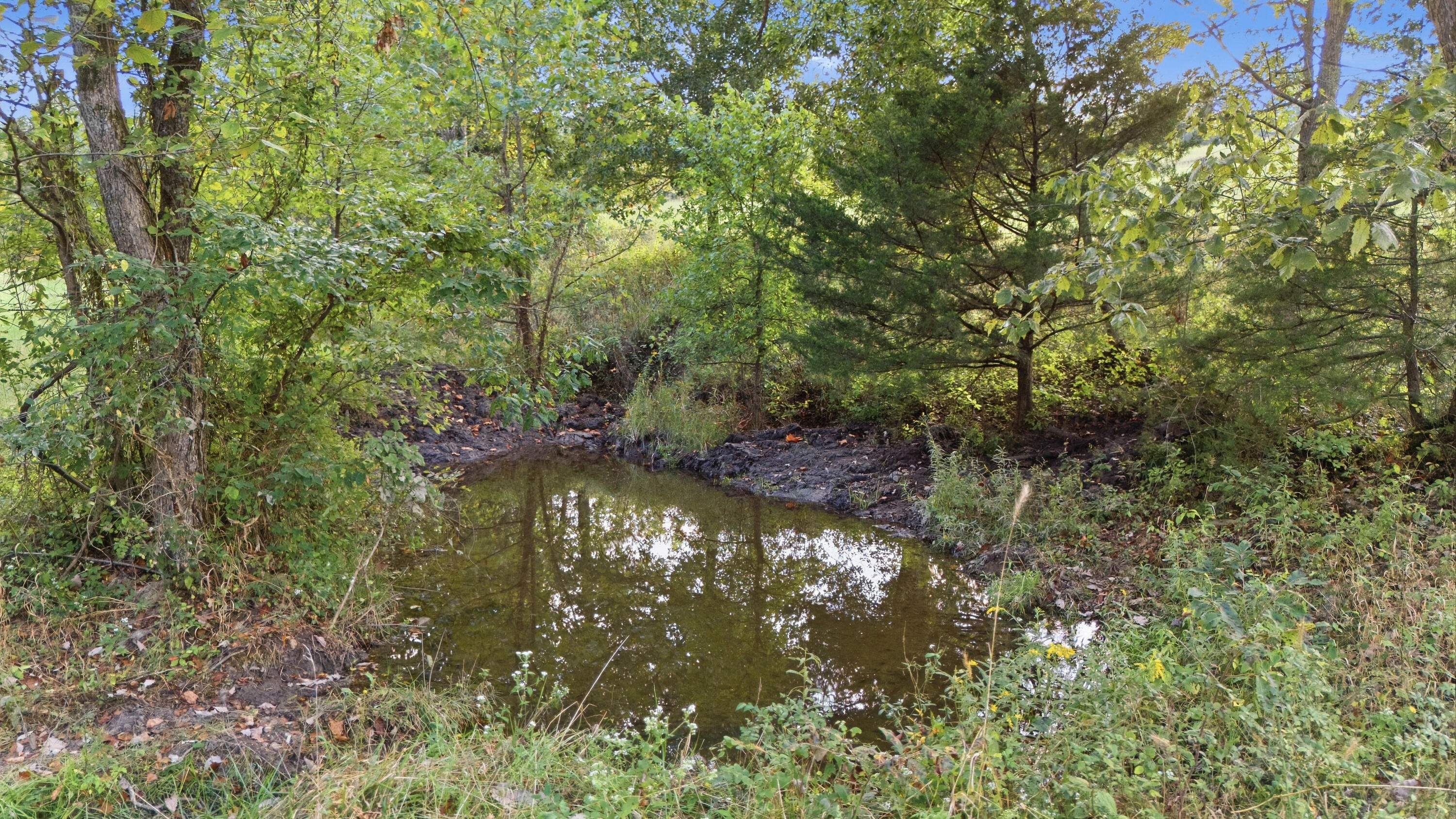 977 South Highway 137 Property Photo 68