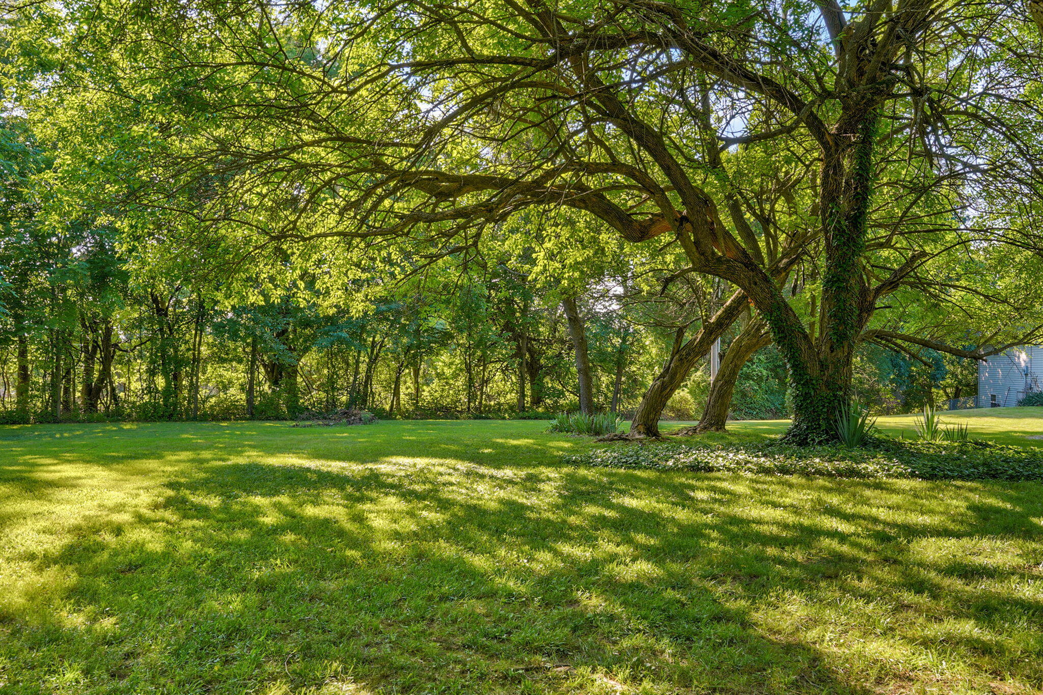 394 Jace Road Property Photo 32