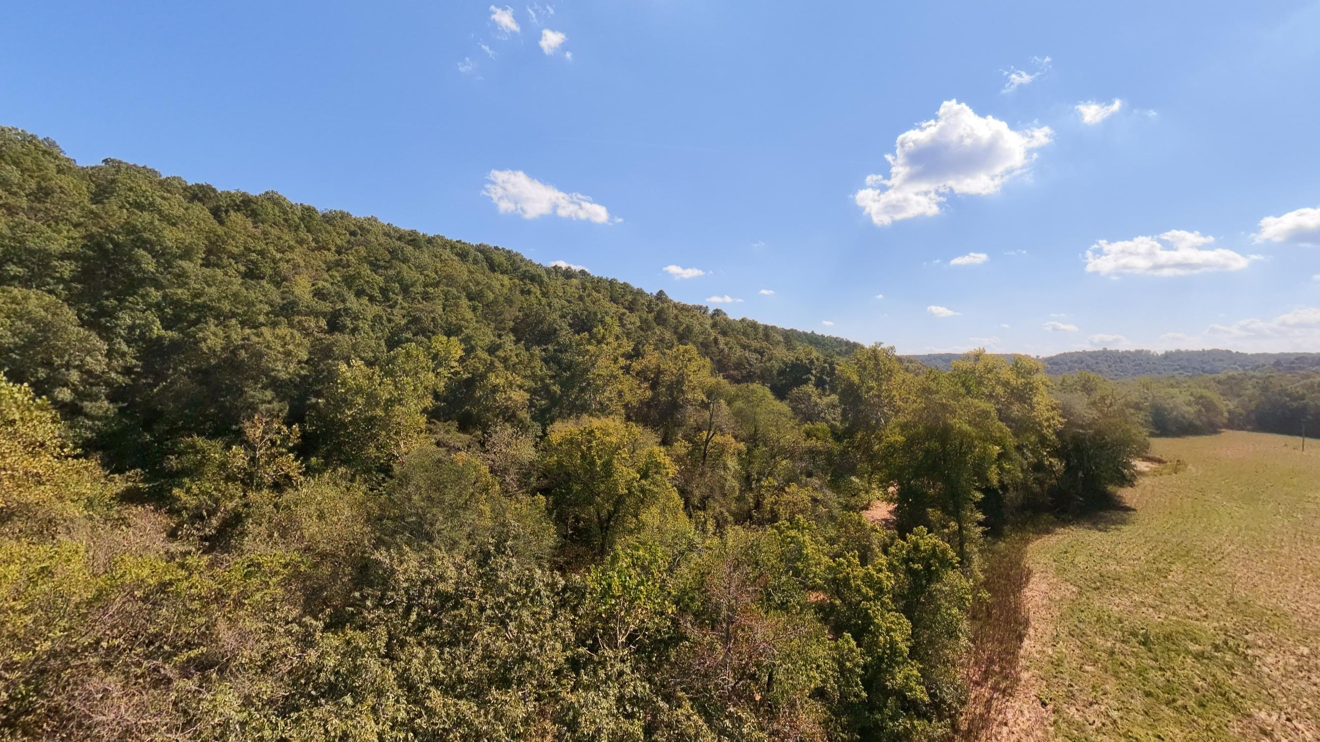 190 Wattle Trail Property Photo 40