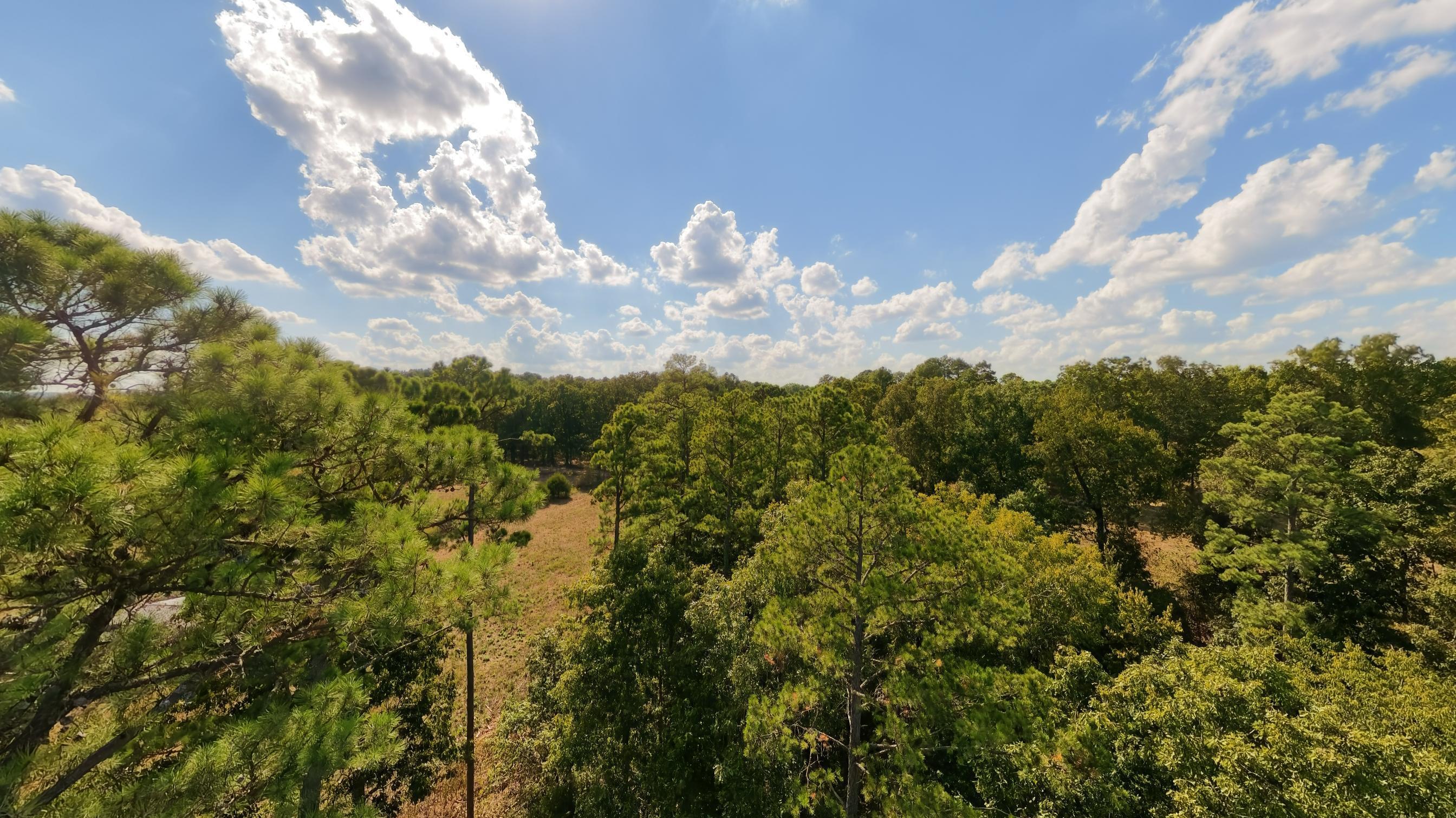 190 Wattle Trail Property Photo 75
