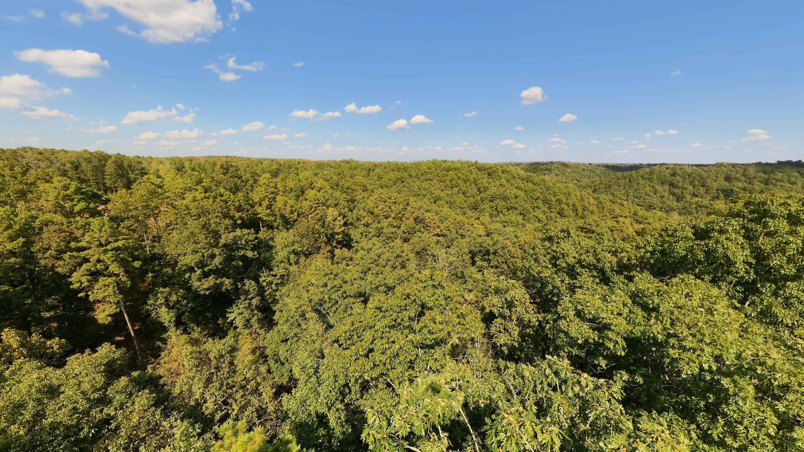 190 Wattle Trail Property Photo 76