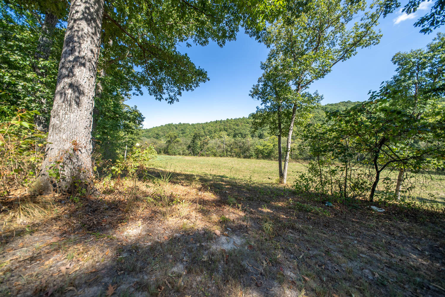 190 Wattle Trail Property Photo 5