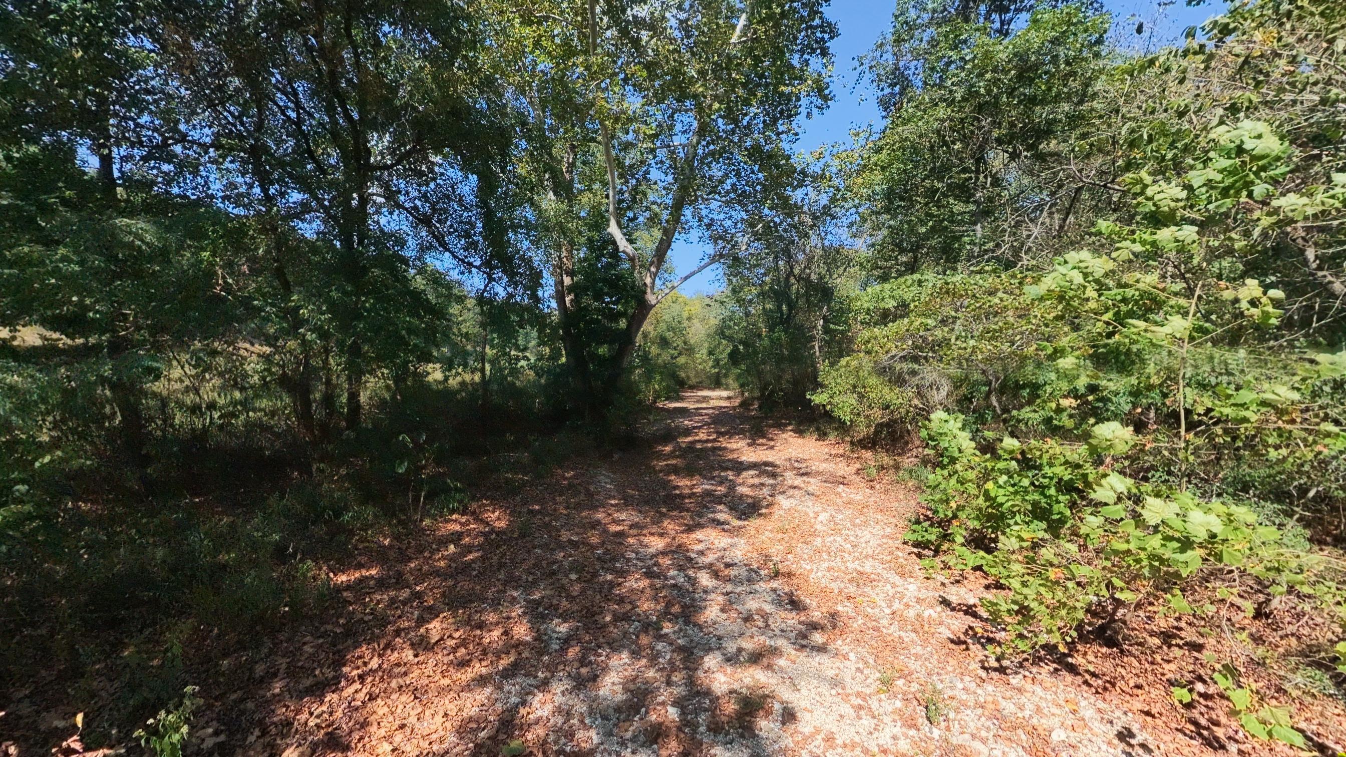 190 Wattle Trail Property Photo 6