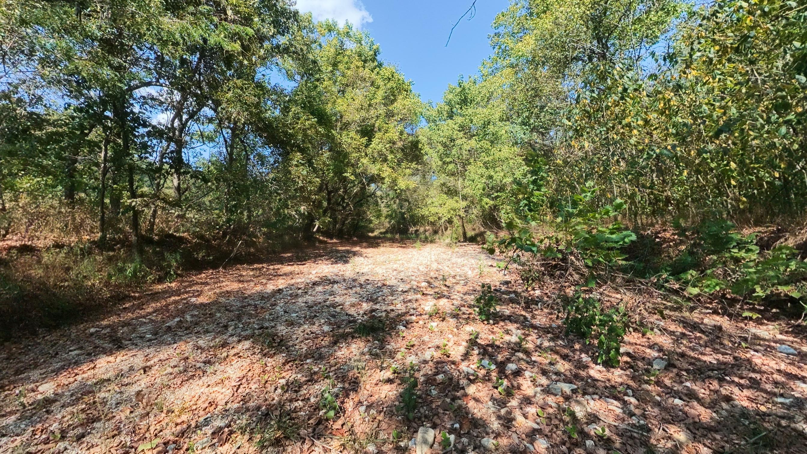 190 Wattle Trail Property Photo 8