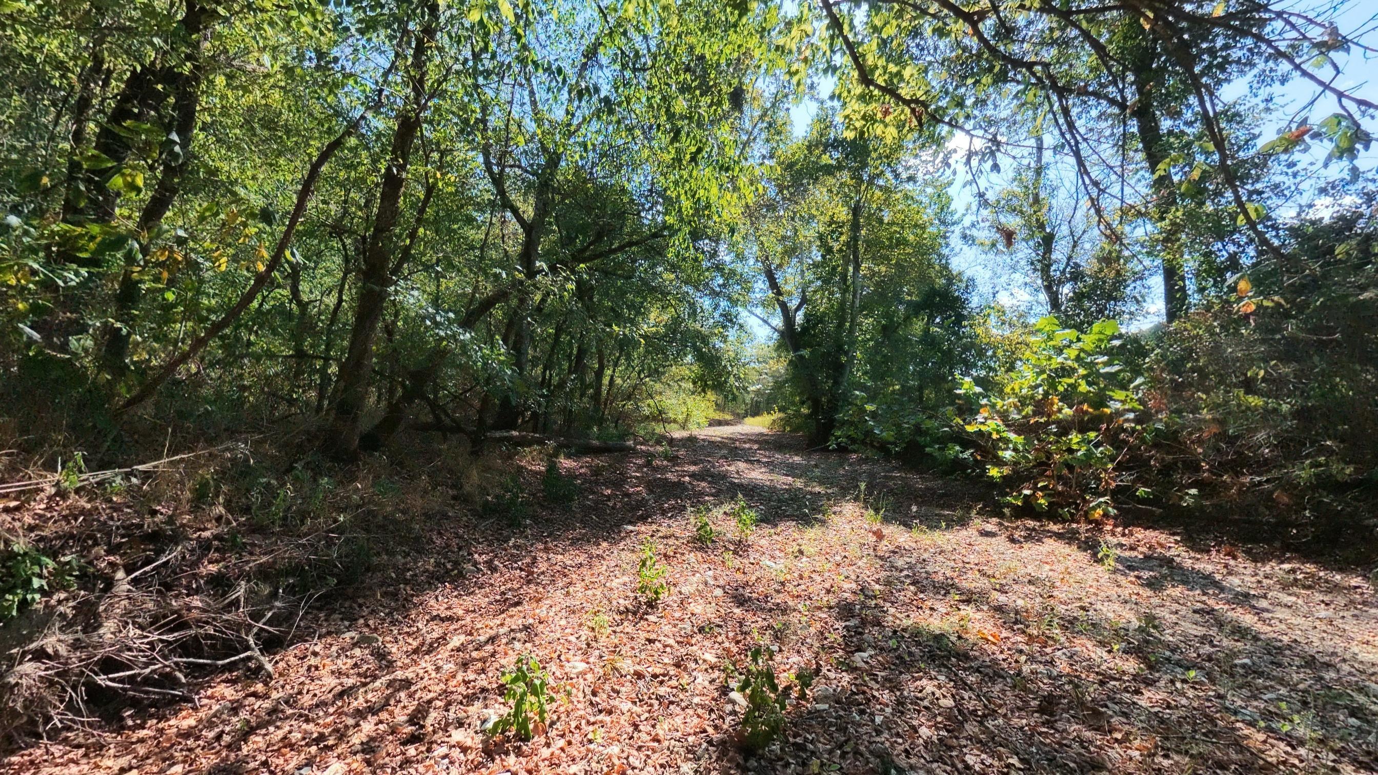 190 Wattle Trail Property Photo 9