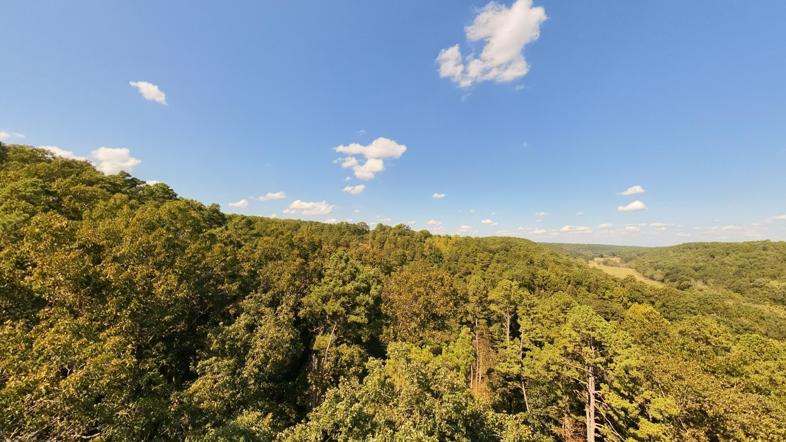 190 Wattle Trail Property Photo 17