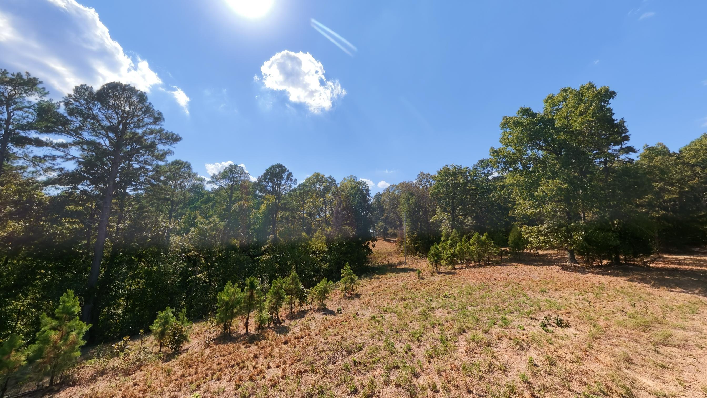 190 Wattle Trail Property Photo 25