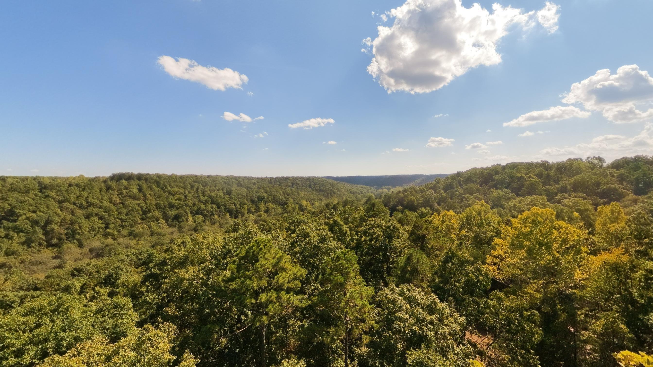 190 Wattle Trail Property Photo 31