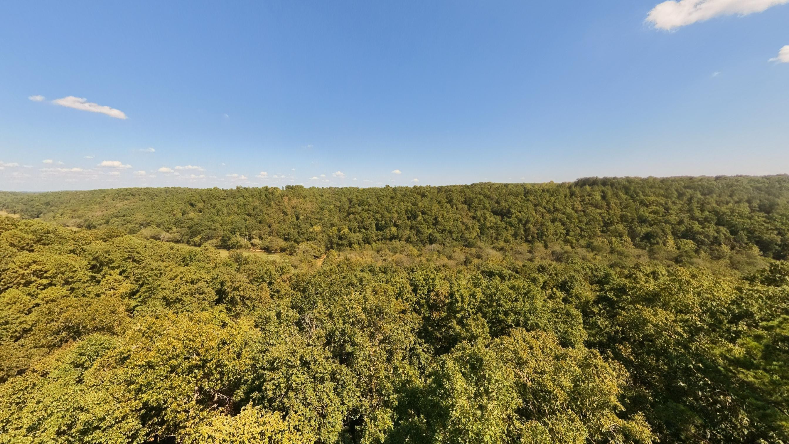 190 Wattle Trail Property Photo 32