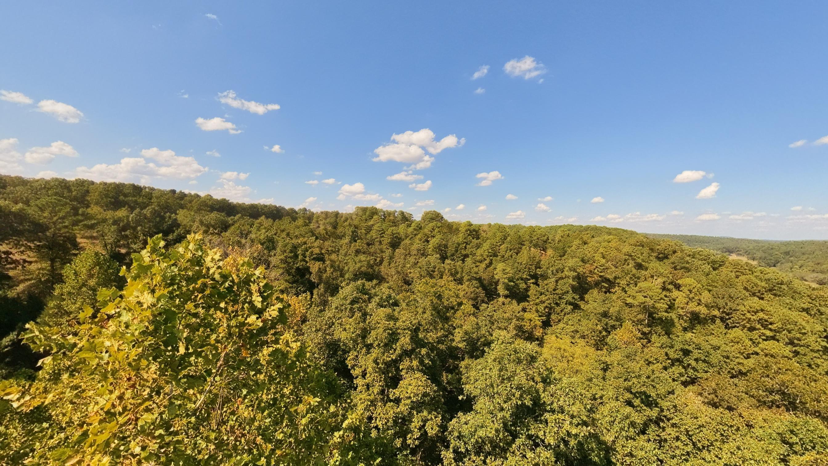 190 Wattle Trail Property Photo 33