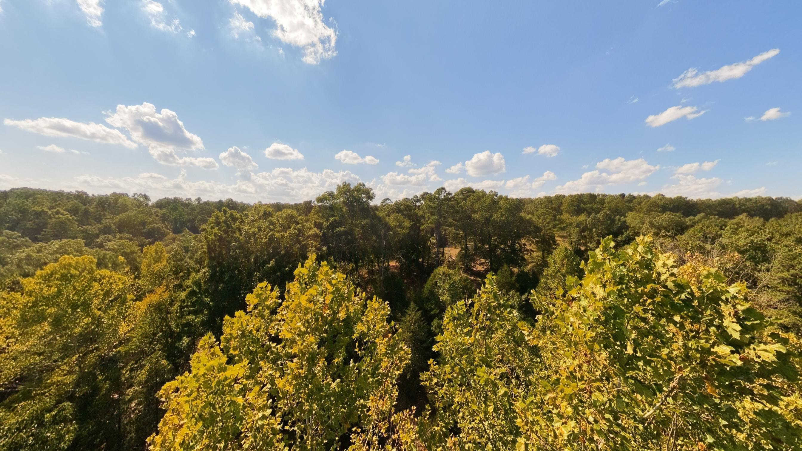190 Wattle Trail Property Photo 34