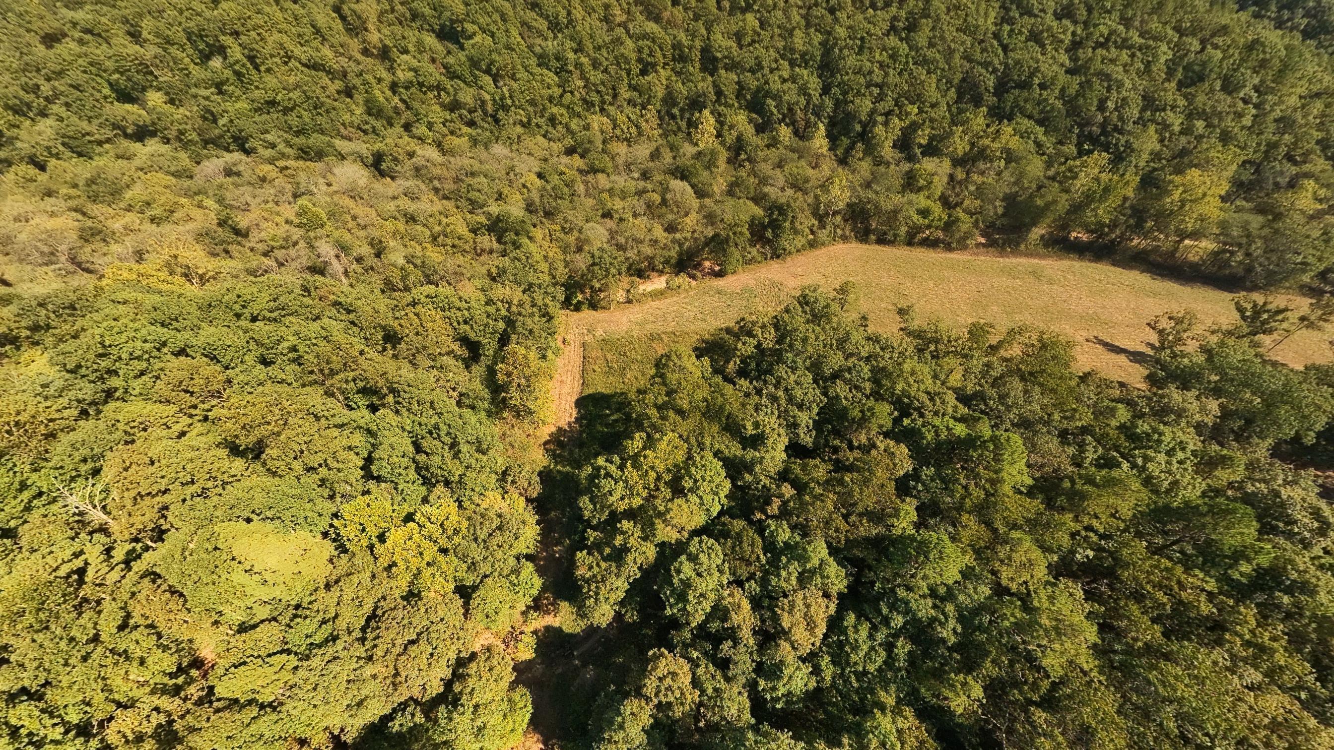 190 Wattle Trail Property Photo 36