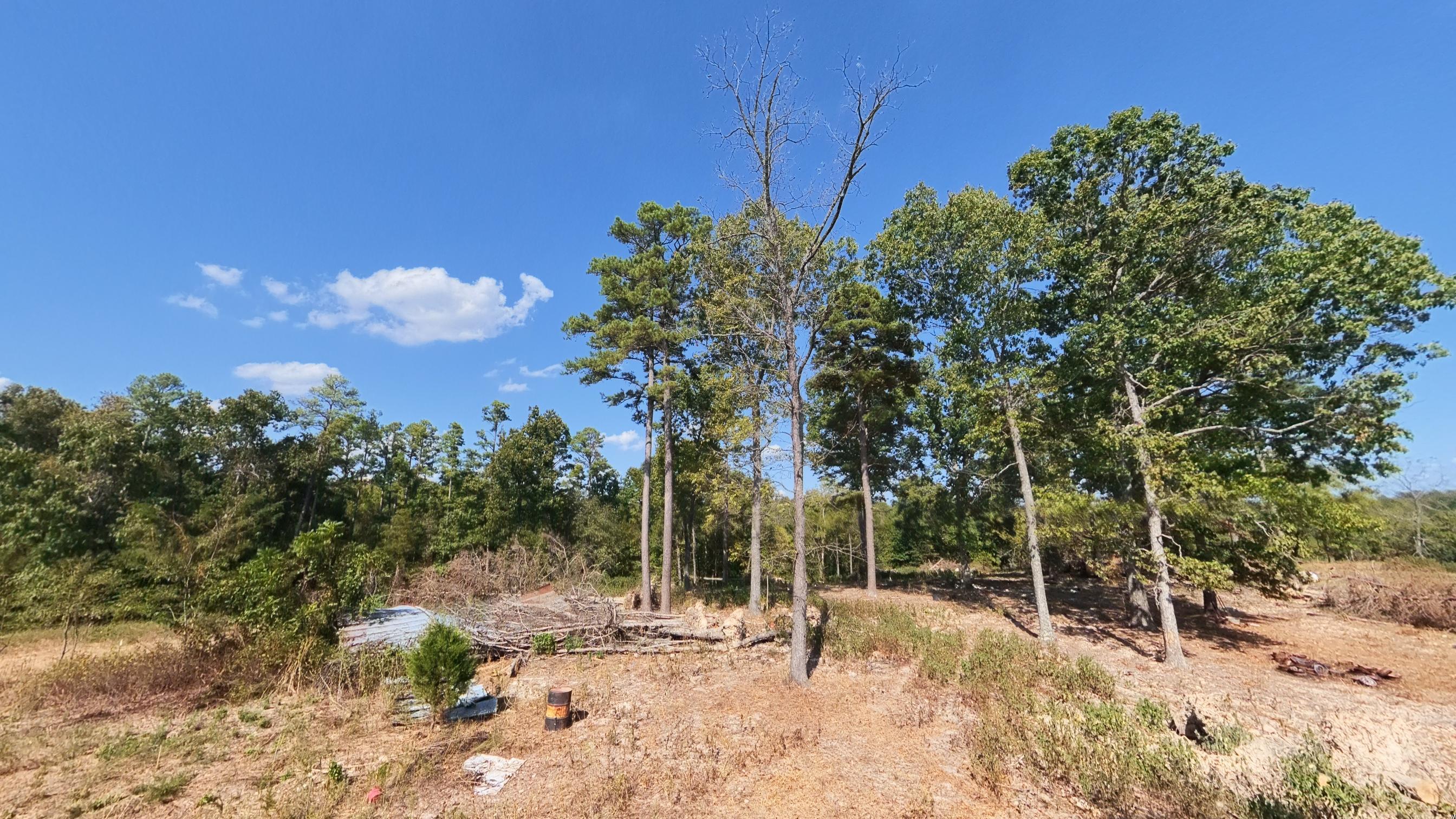190 Wattle Trail Property Photo 42