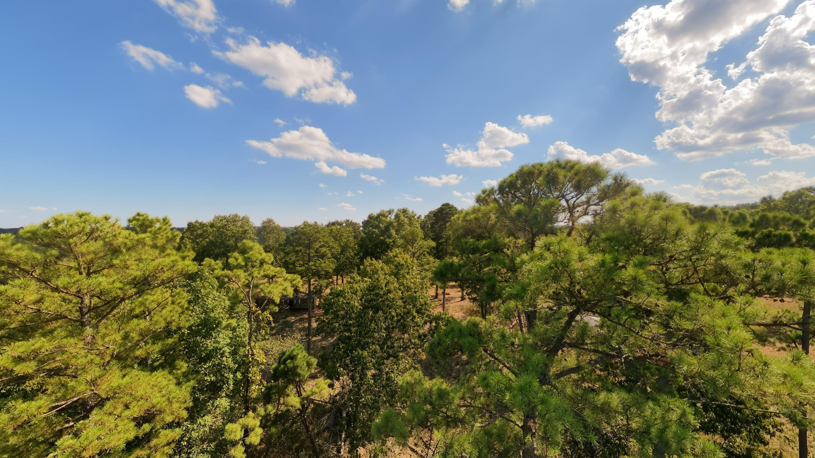 190 Wattle Trail Property Photo 45