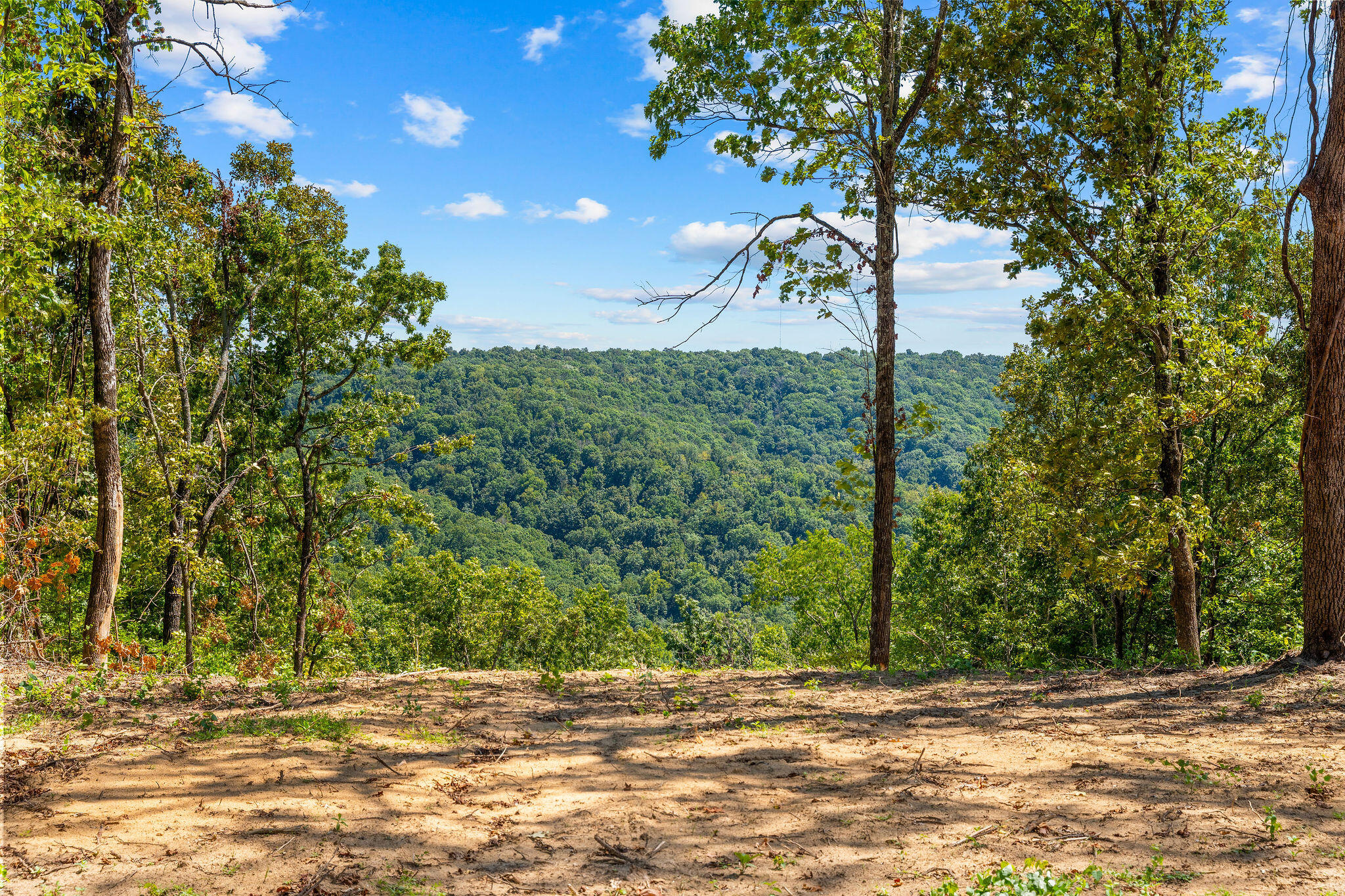 12089 Timber Trail Lot 5 Glasshouse Property Photo 26
