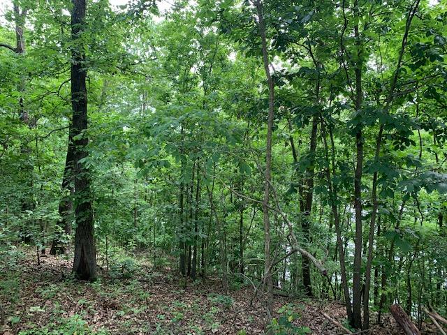 000 Fox Hollow Dr/lot 86 Property Photo 13
