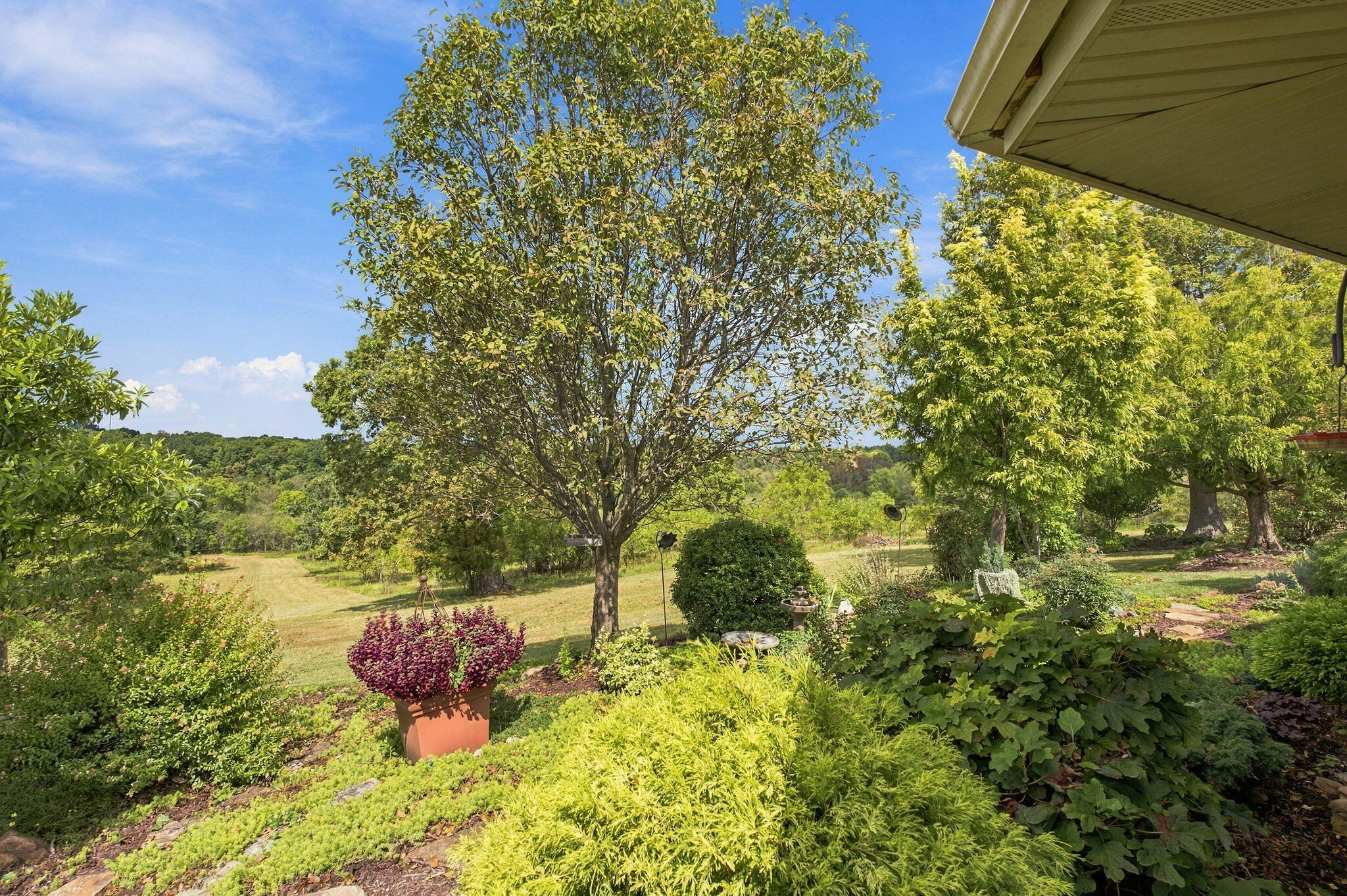 480 Hunter Rdg Property Photo 58