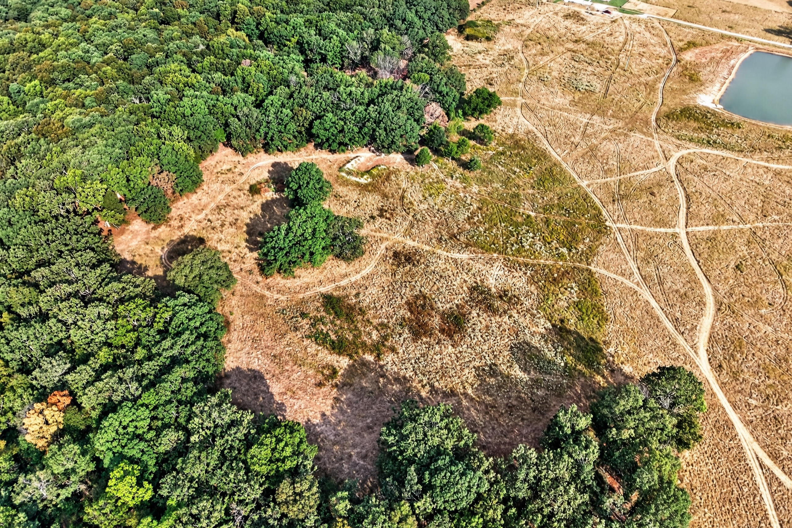 10700 State Highway 38 Property Photo 61