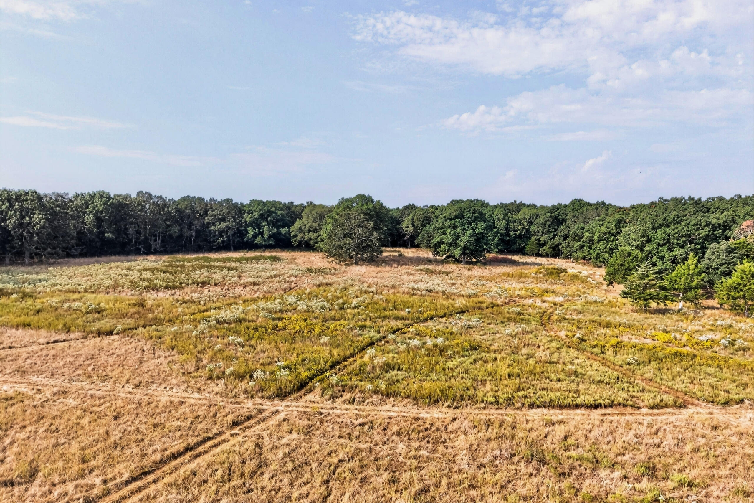 10700 State Highway 38 Property Photo 67