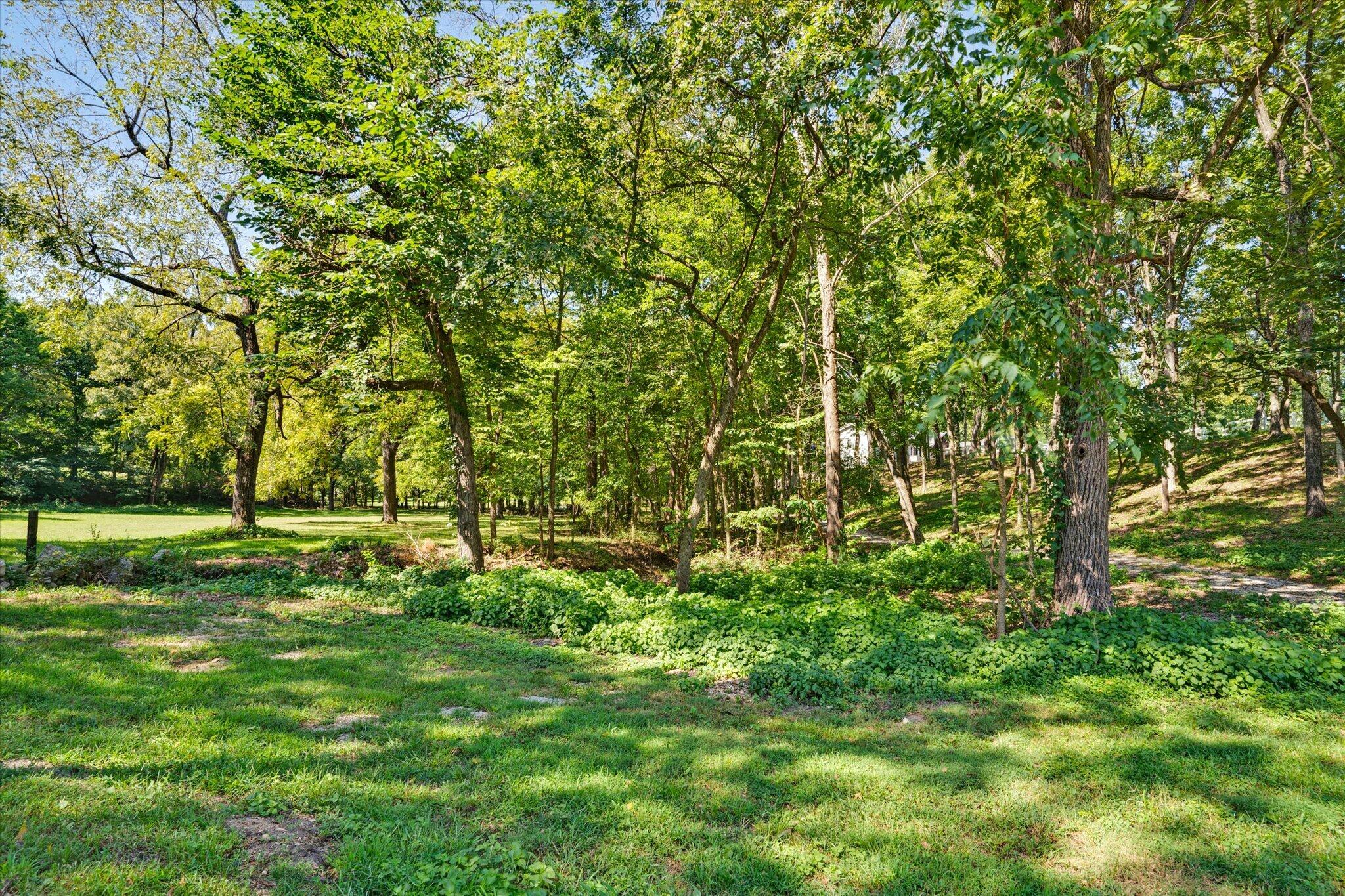 4901 East Farm Rd 66 Property Photo 57