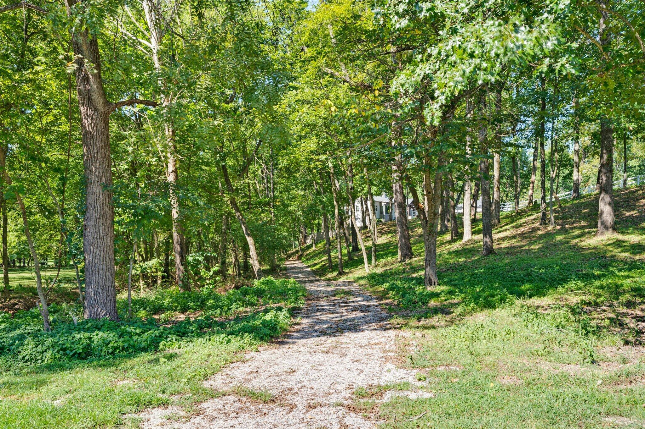 4901 East Farm Rd 66 Property Photo 59