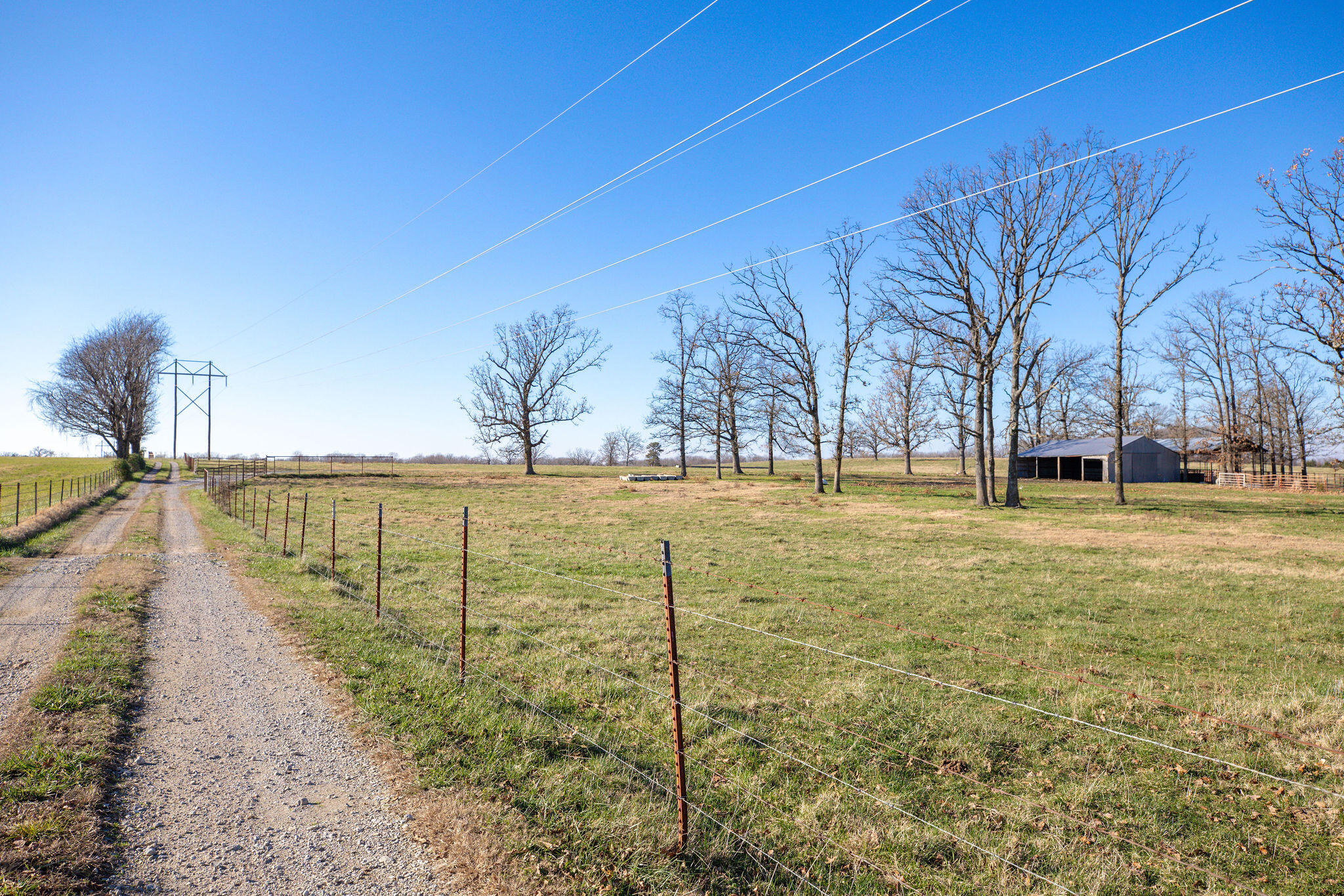Tbd Honeysuckle & County Road 433 Property Photo 5