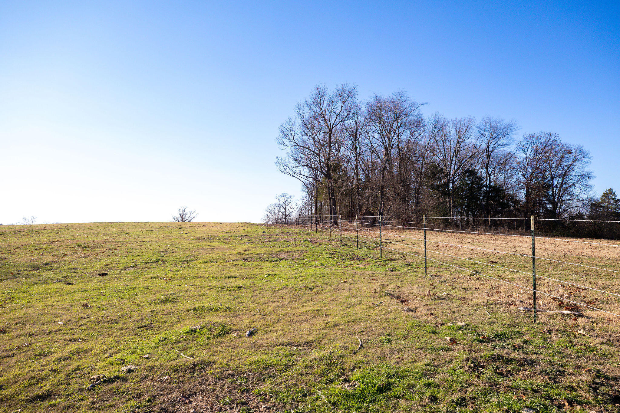 Tbd Honeysuckle & County Road 433 Property Photo 13