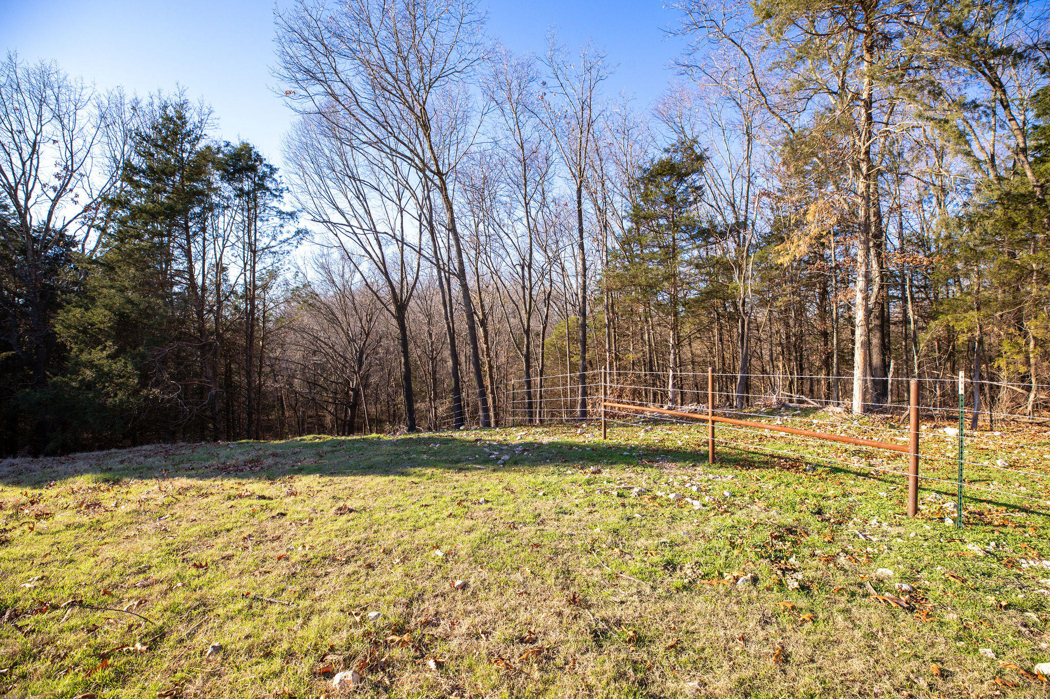 Tbd Honeysuckle & County Road 433 Property Photo 14