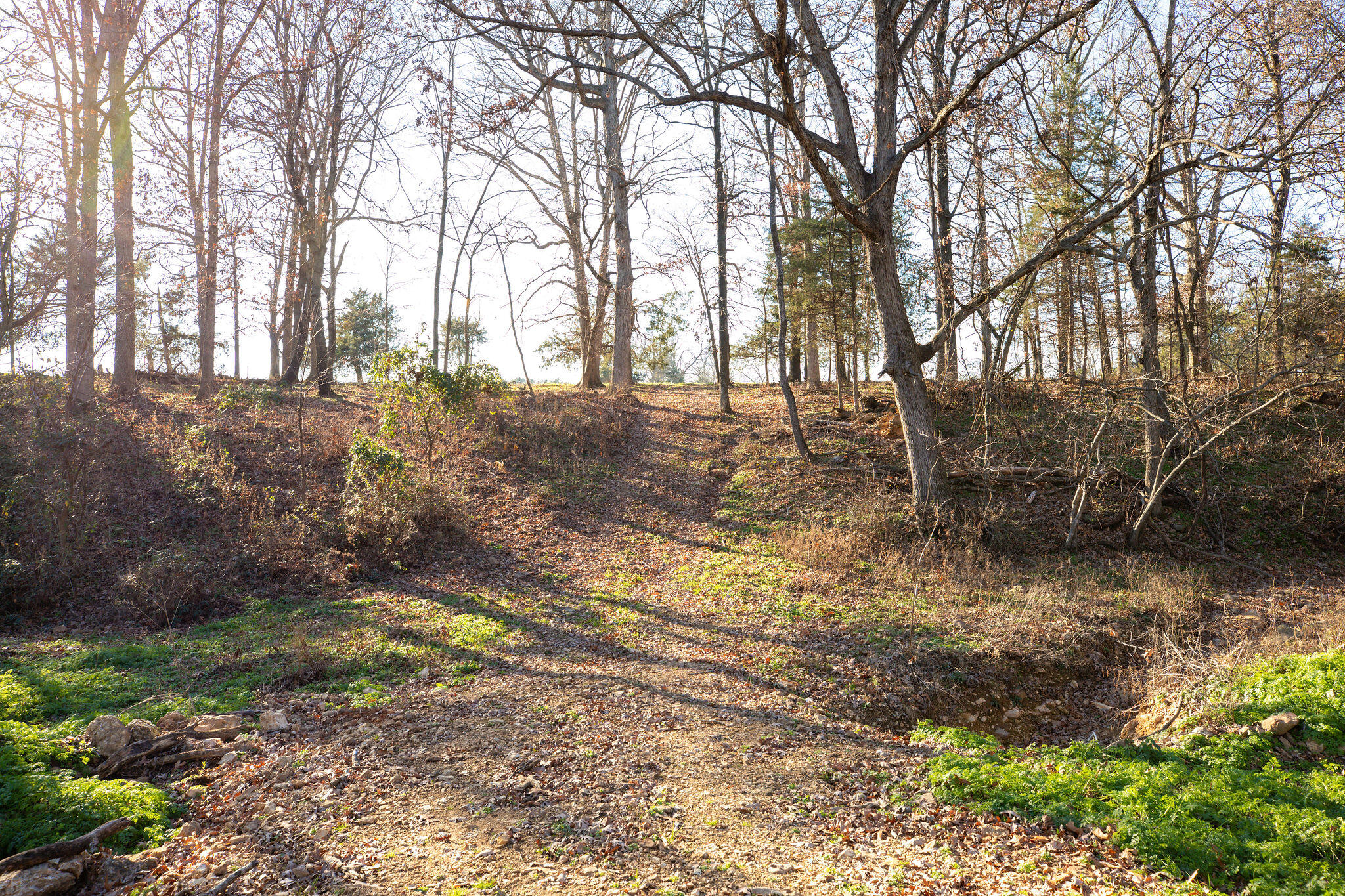 Tbd Honeysuckle & County Road 433 Property Photo 19