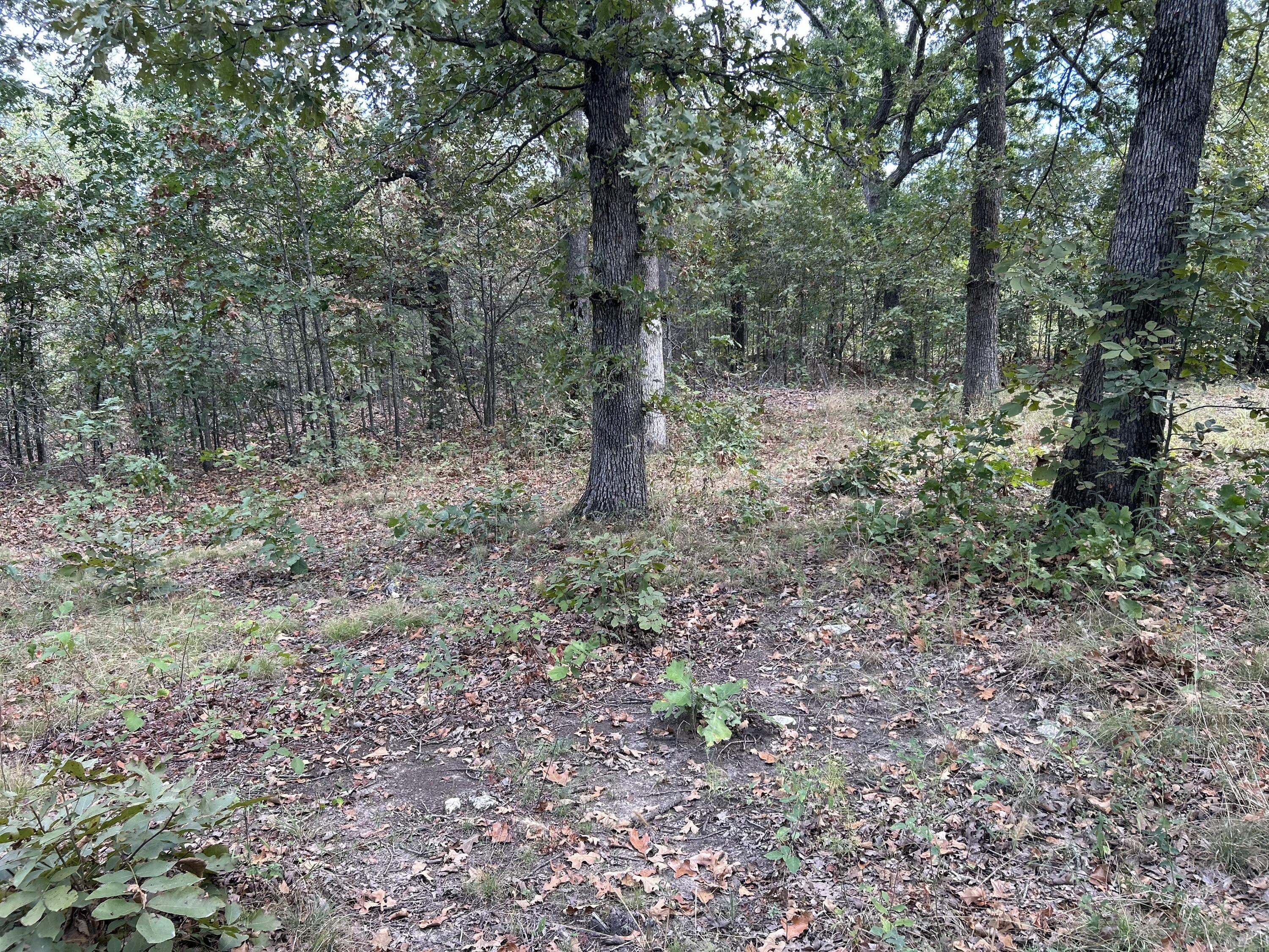 895 Partridge Drive Property Photo 11
