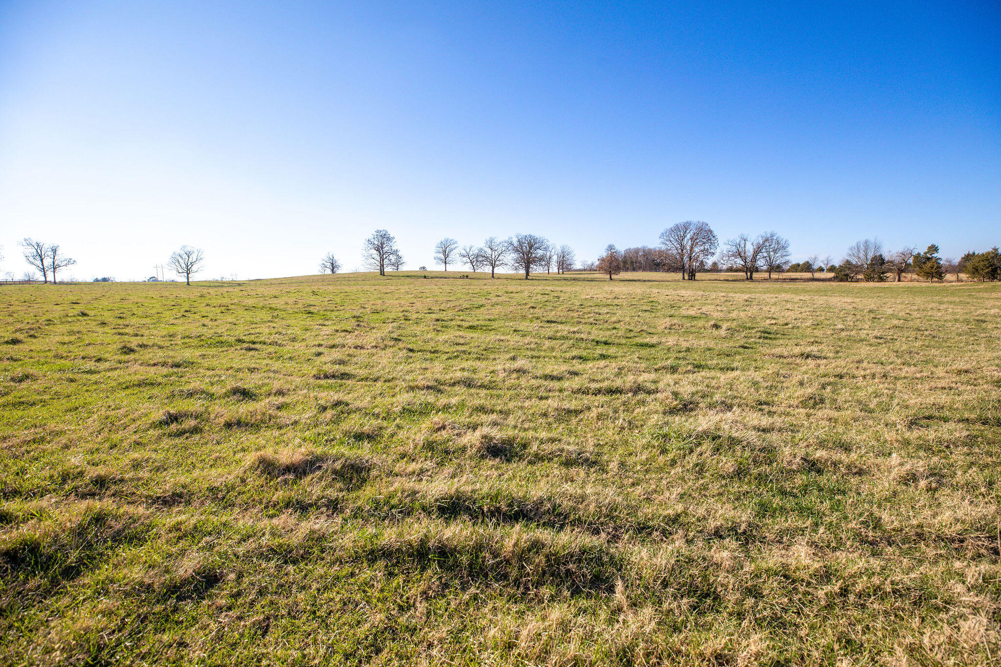 60334746 Property Photo 3