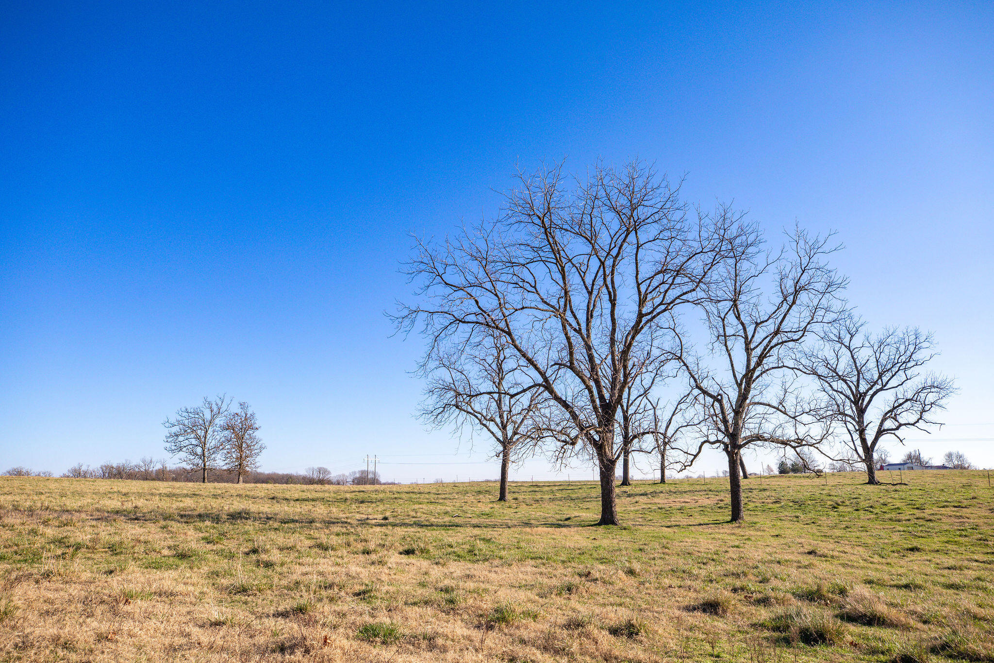 60334746 Property Photo 5