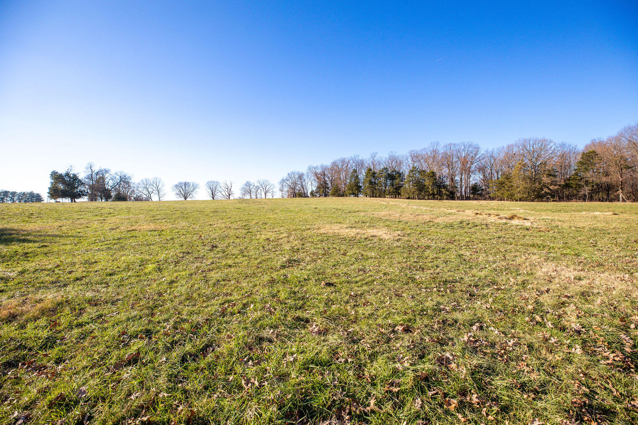 60334746 Property Photo 8