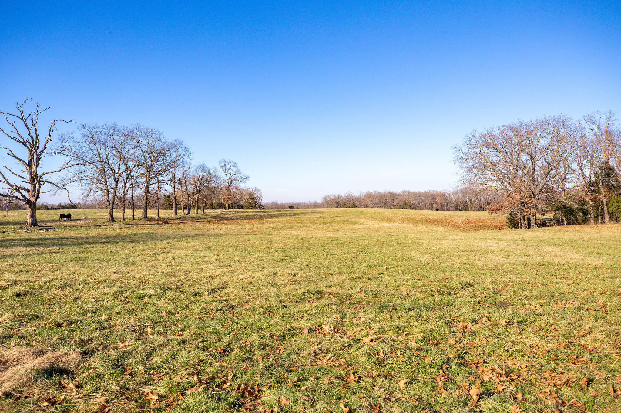 60334746 Property Photo 9