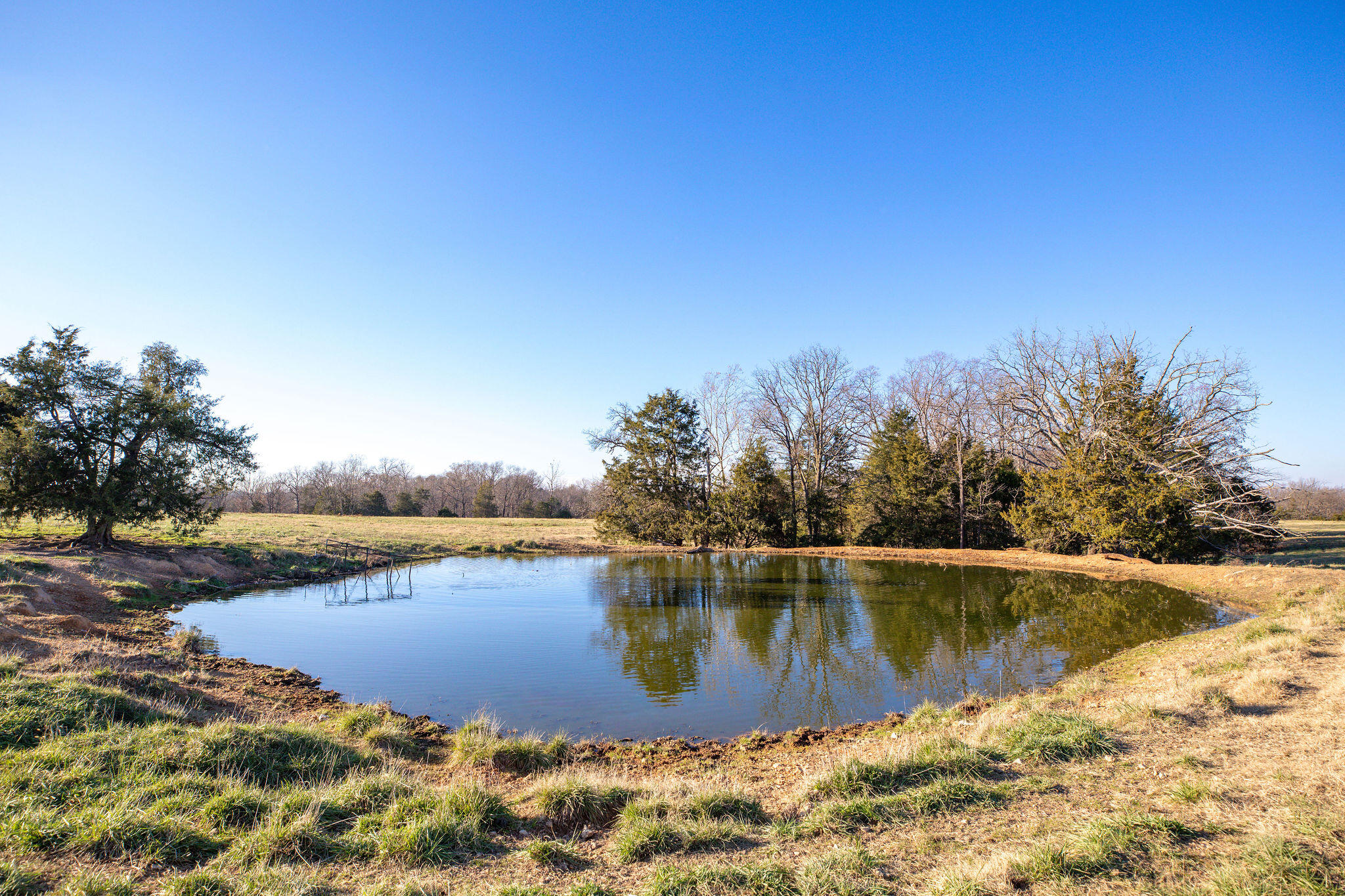 60334746 Property Photo 10