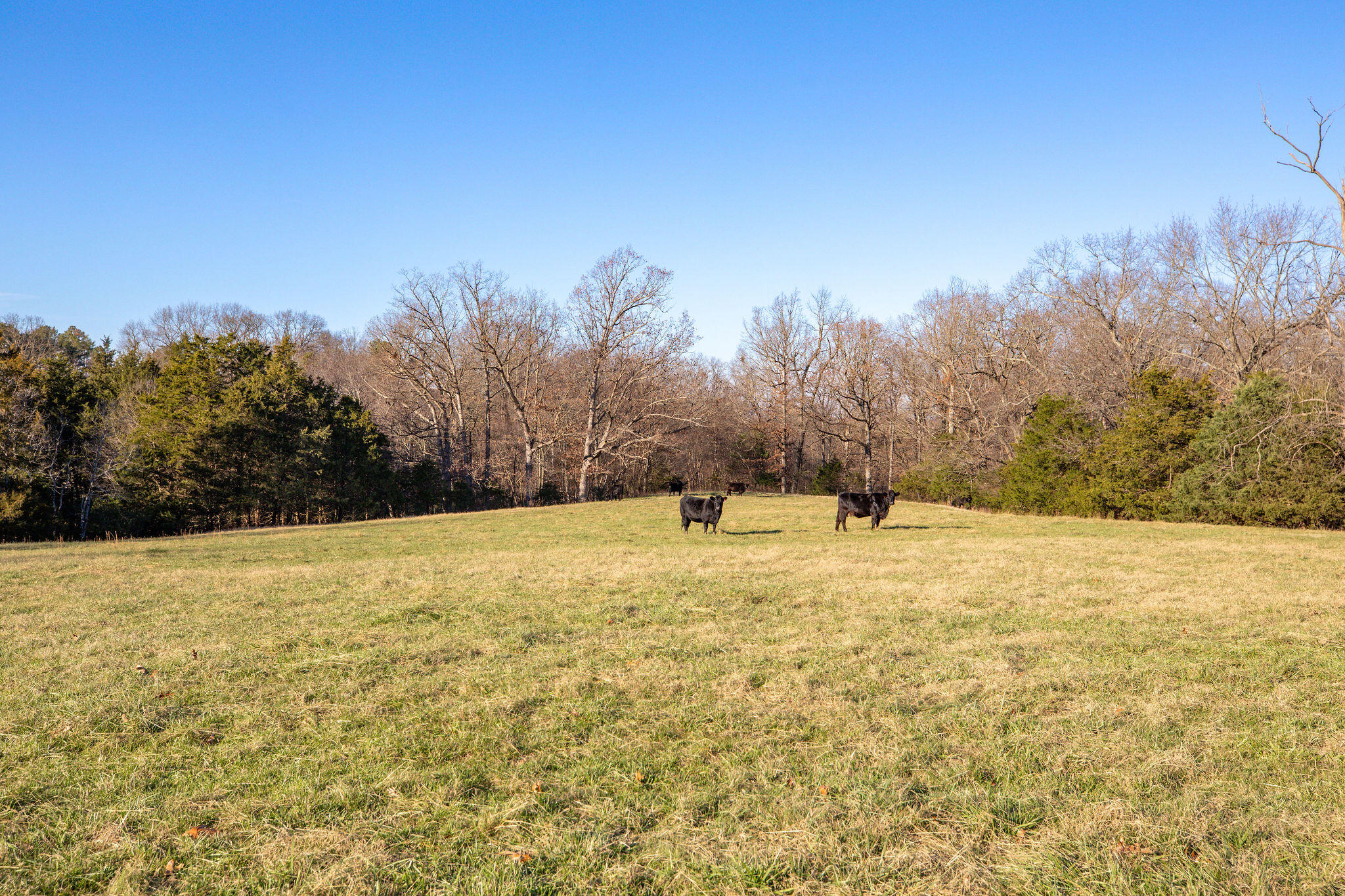 60334746 Property Photo 11