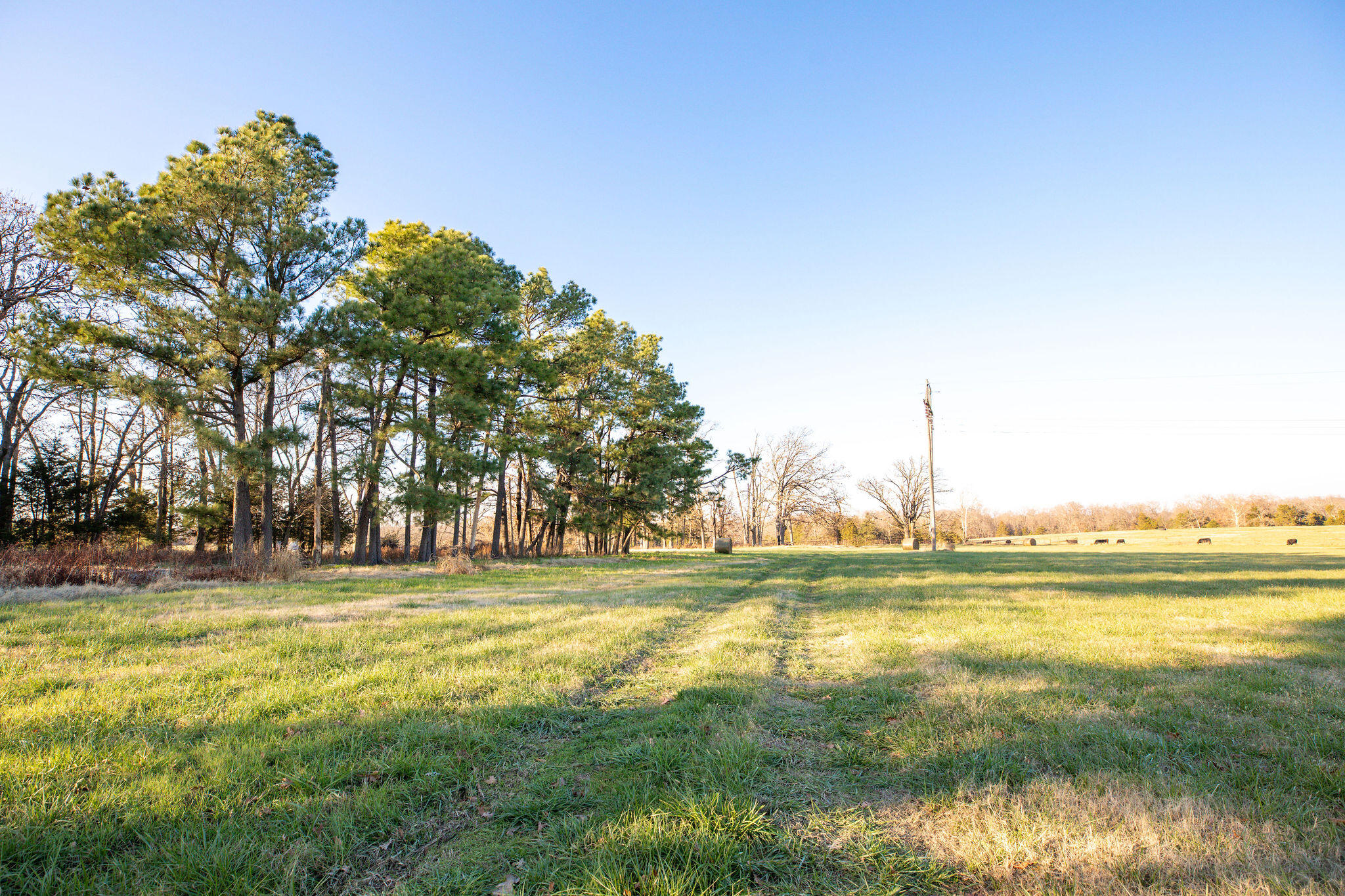60334746 Property Photo 18